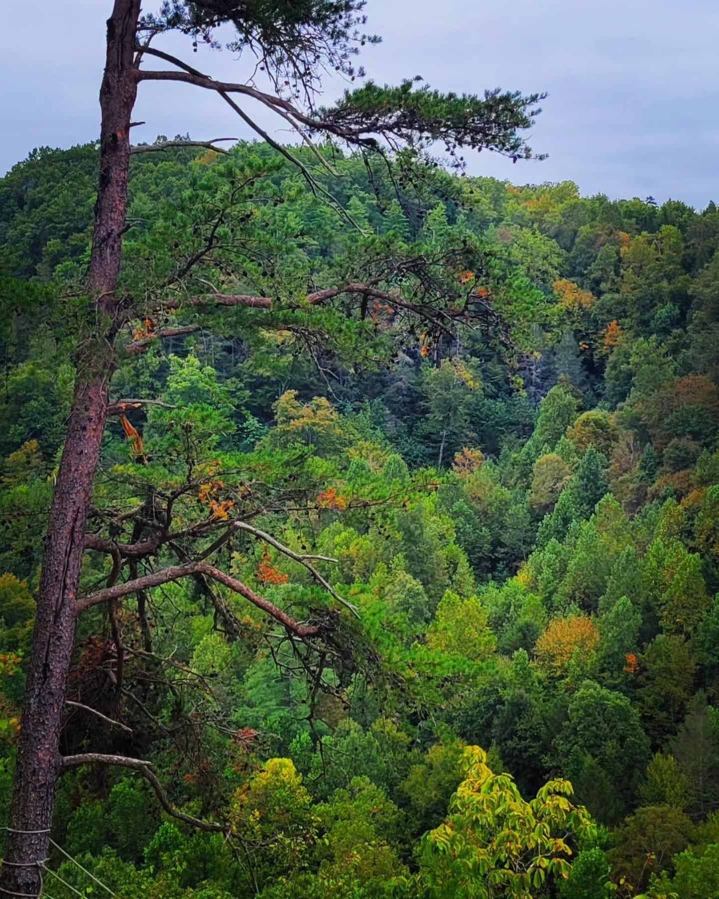 Valley Views for miles