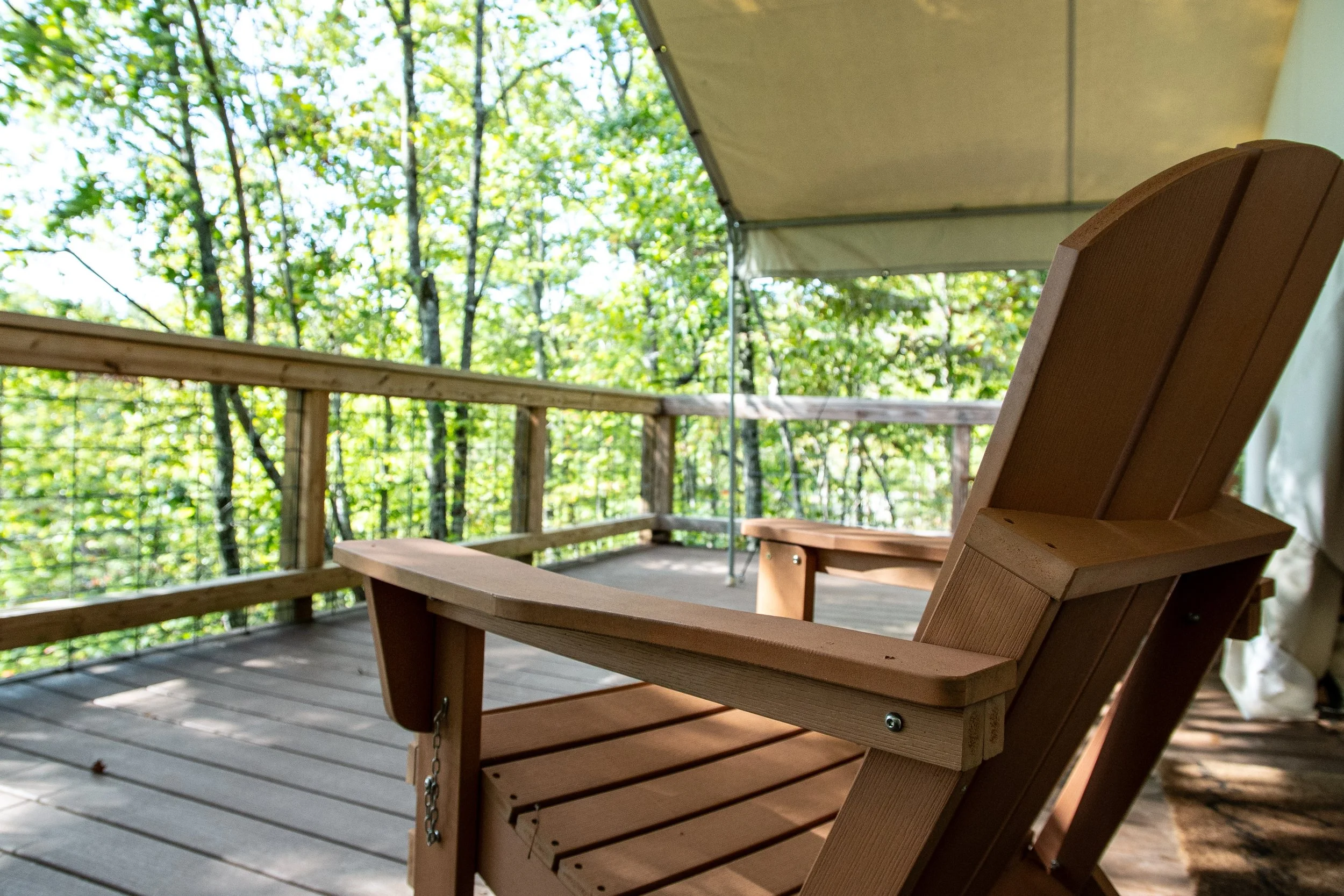 Copy of DL_Tent10_015.jpg