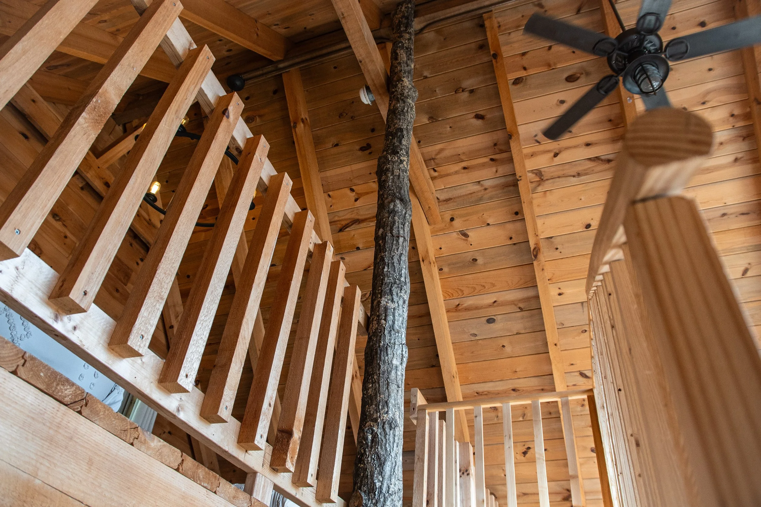 DL_Cabin_042.jpg