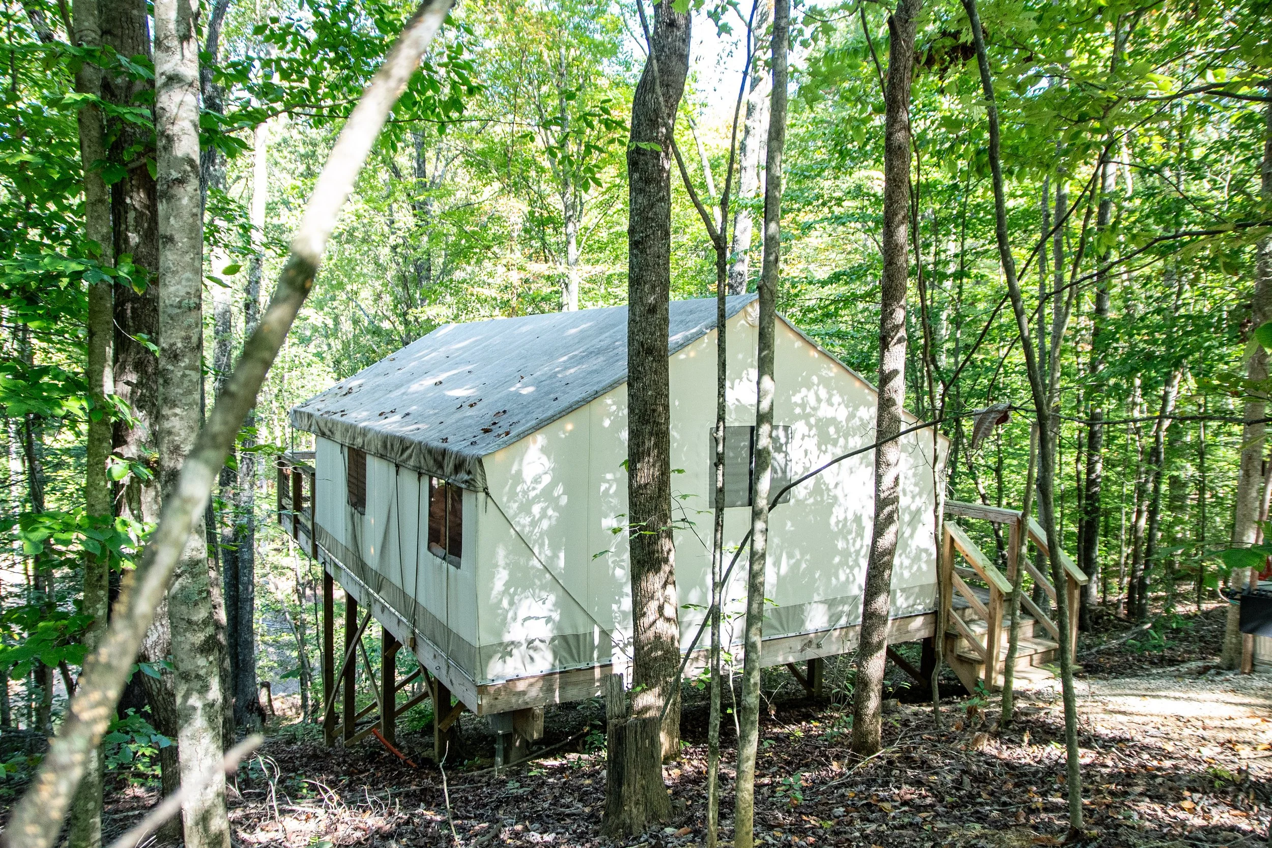 DL_Tent1_001.jpg