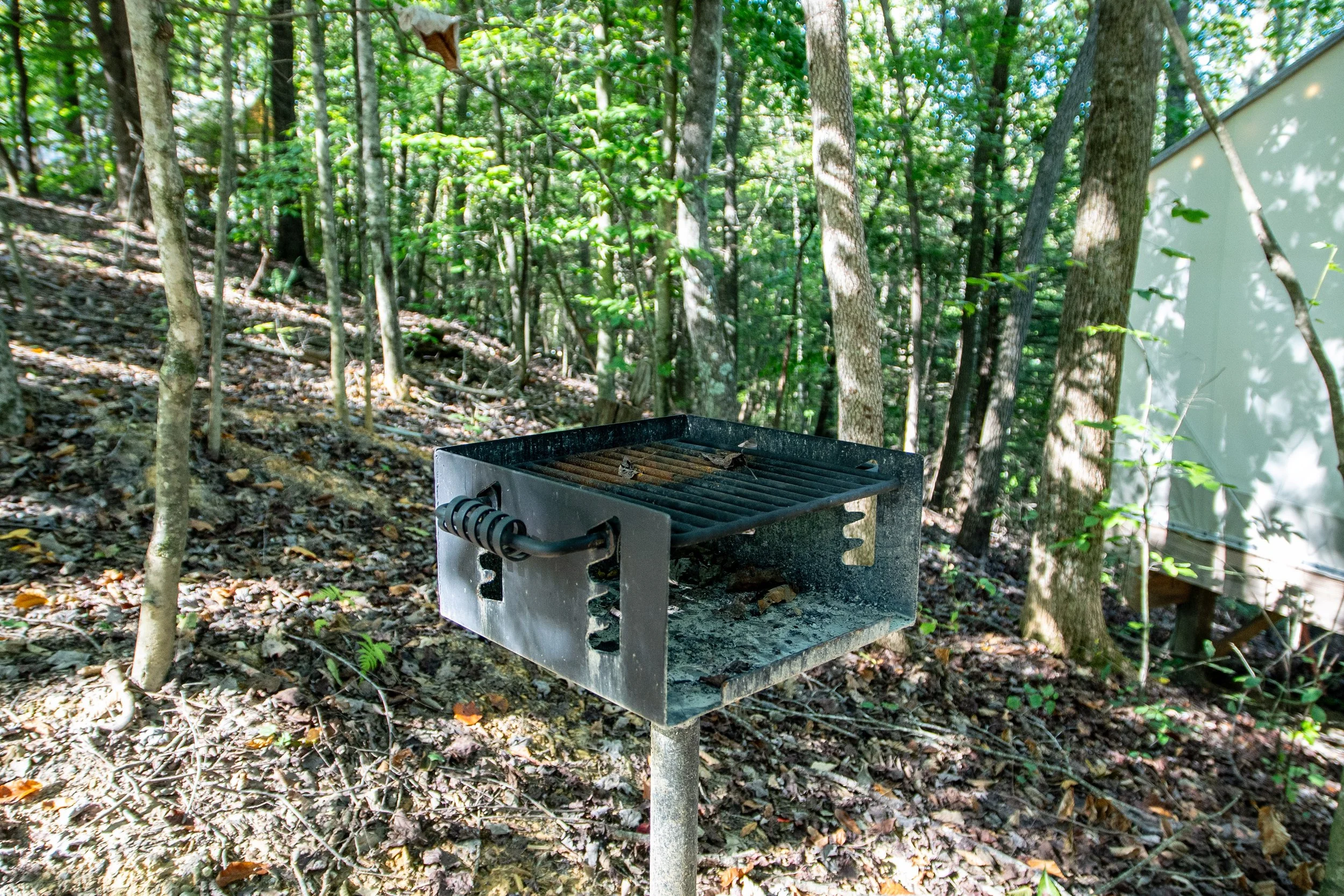DL_Tent1_005.jpg