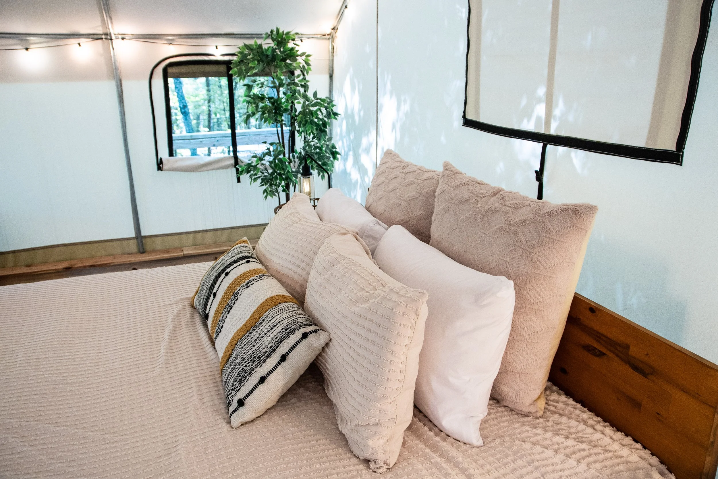 DL_Tent1_028.jpg