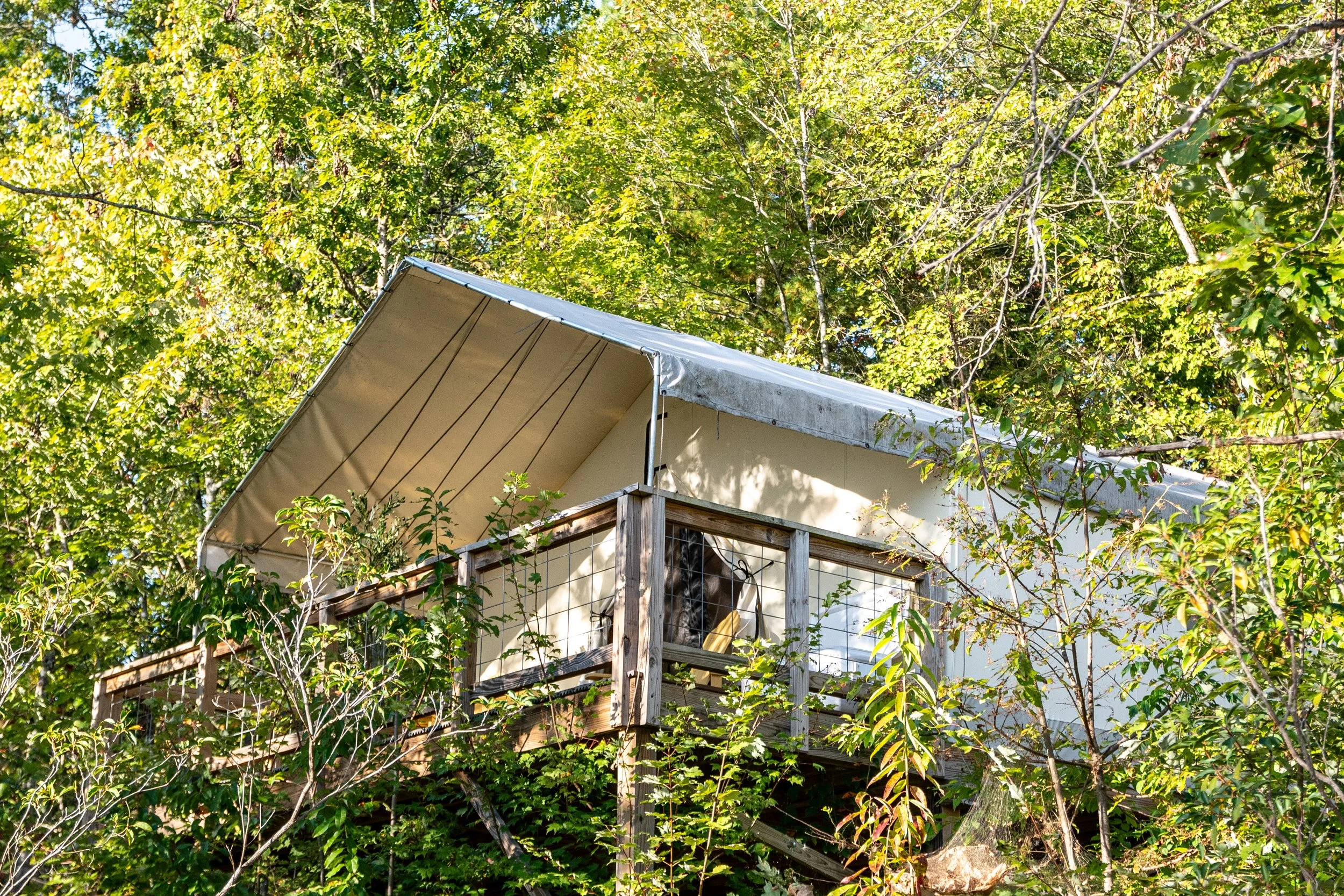 DL_Tent7_006.jpg