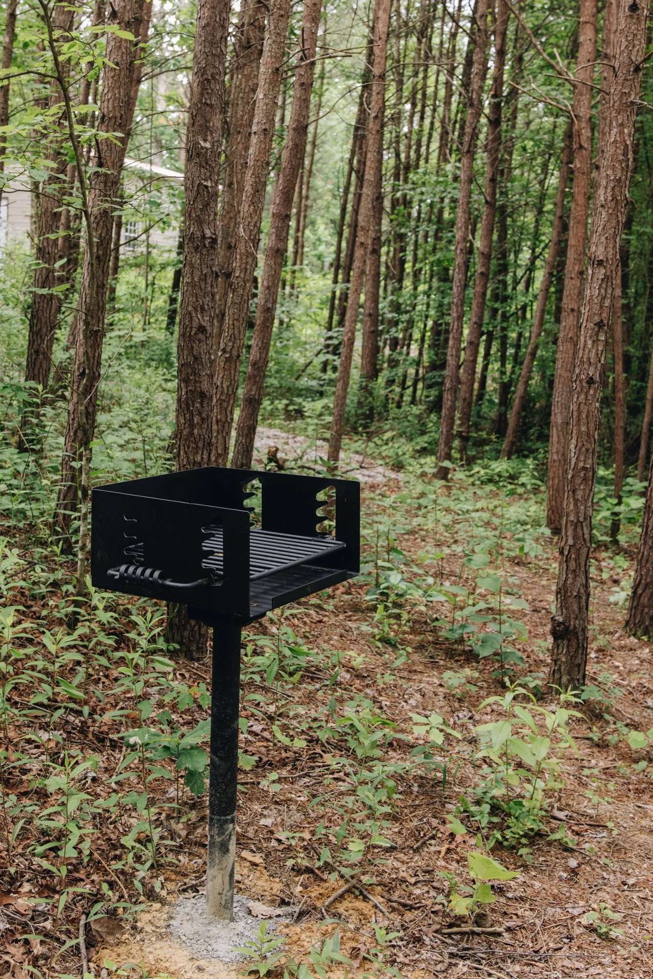 Copy of Charcoal Grill Meadowlark - Catie Viox - 2024.jpg