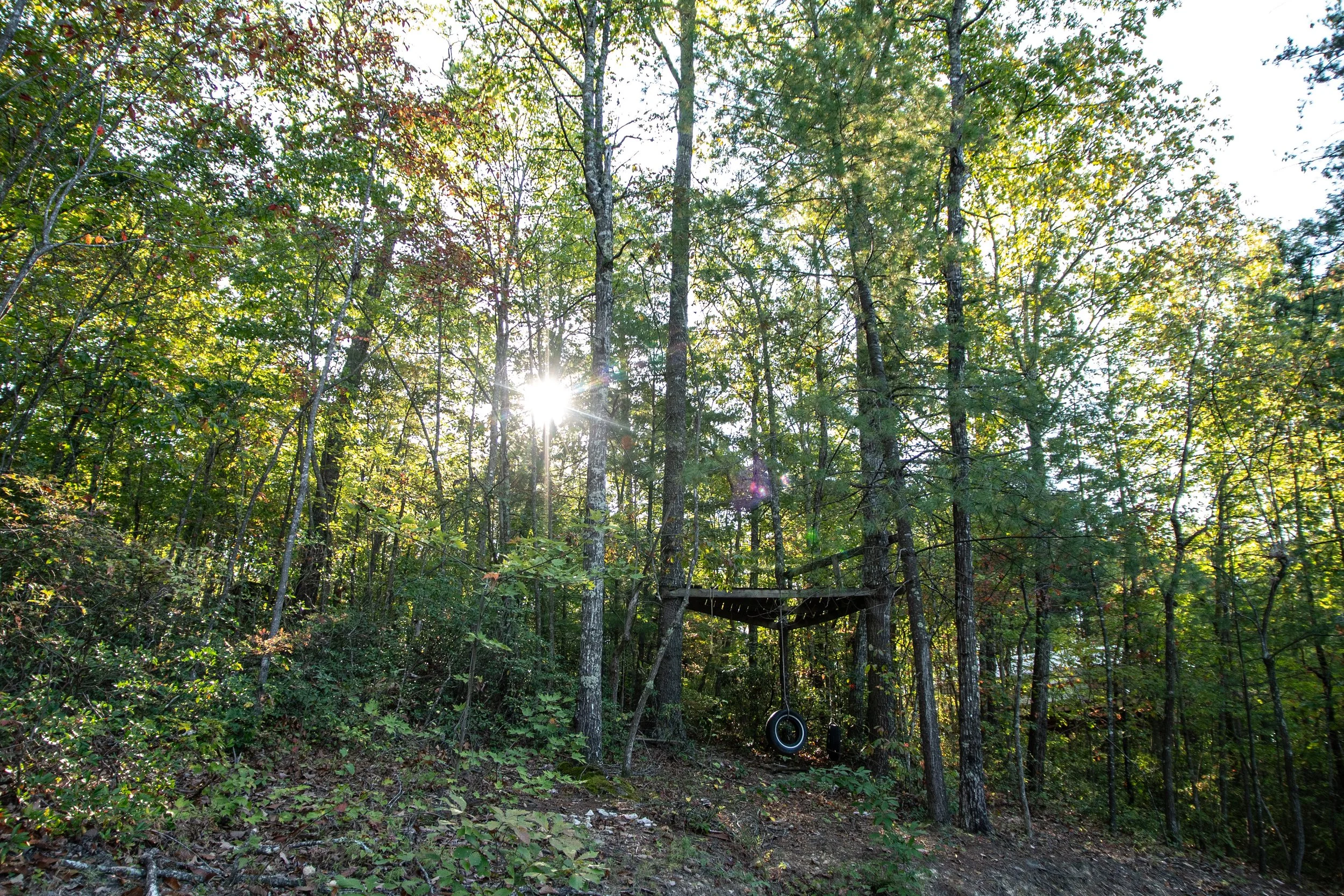 Copy of DL_Tent10_005.jpg