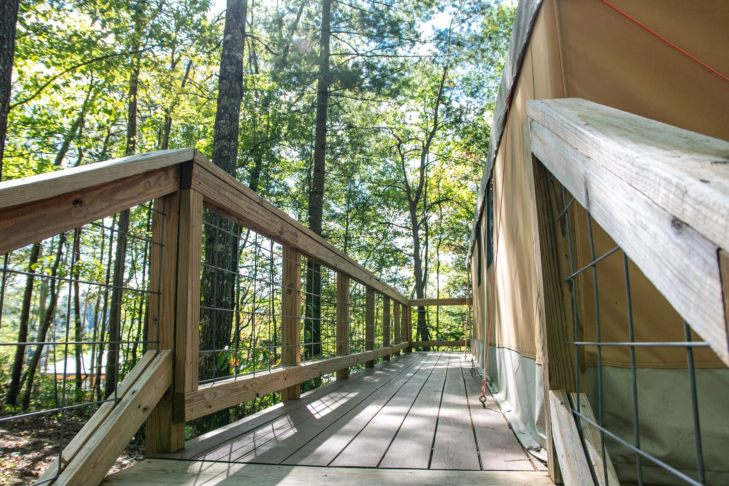 DL_Tent6_007.jpg