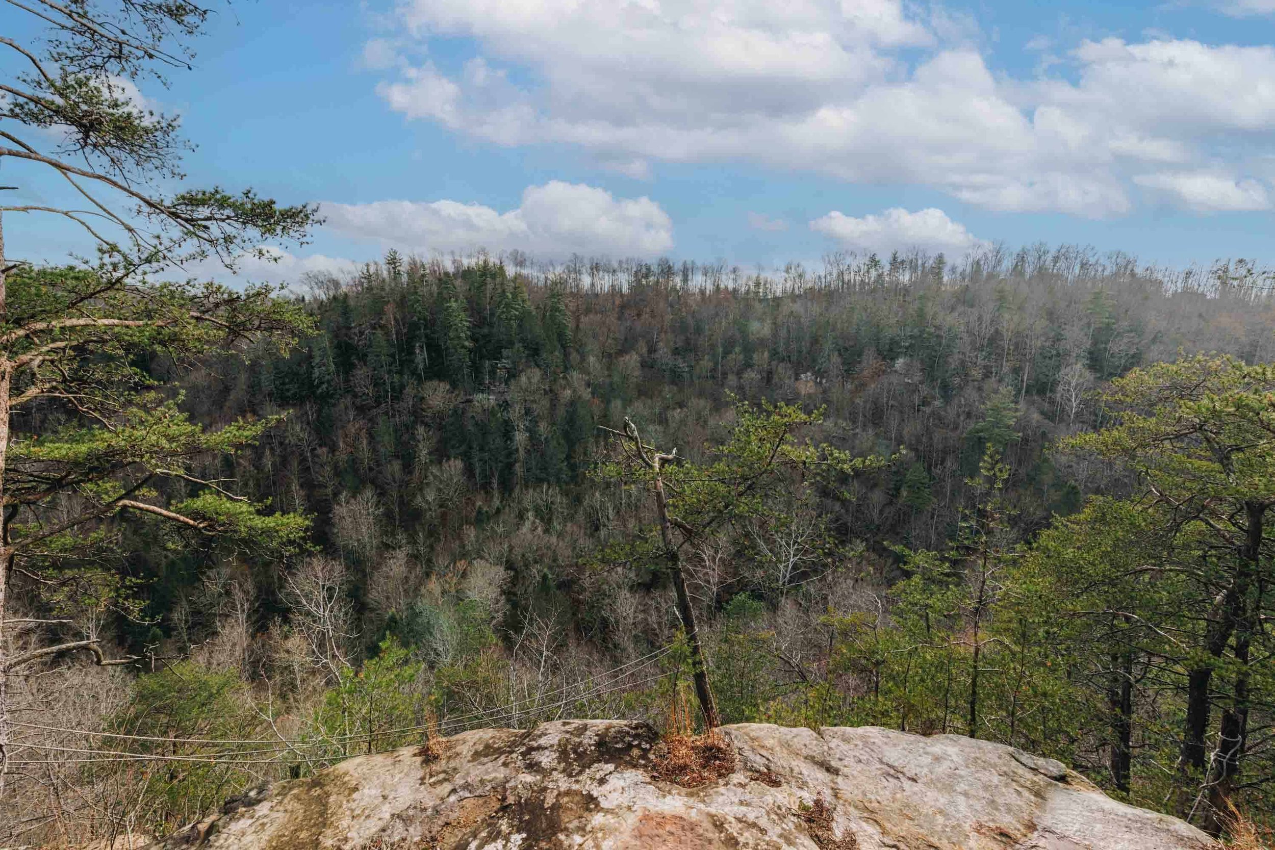 Take in the view!