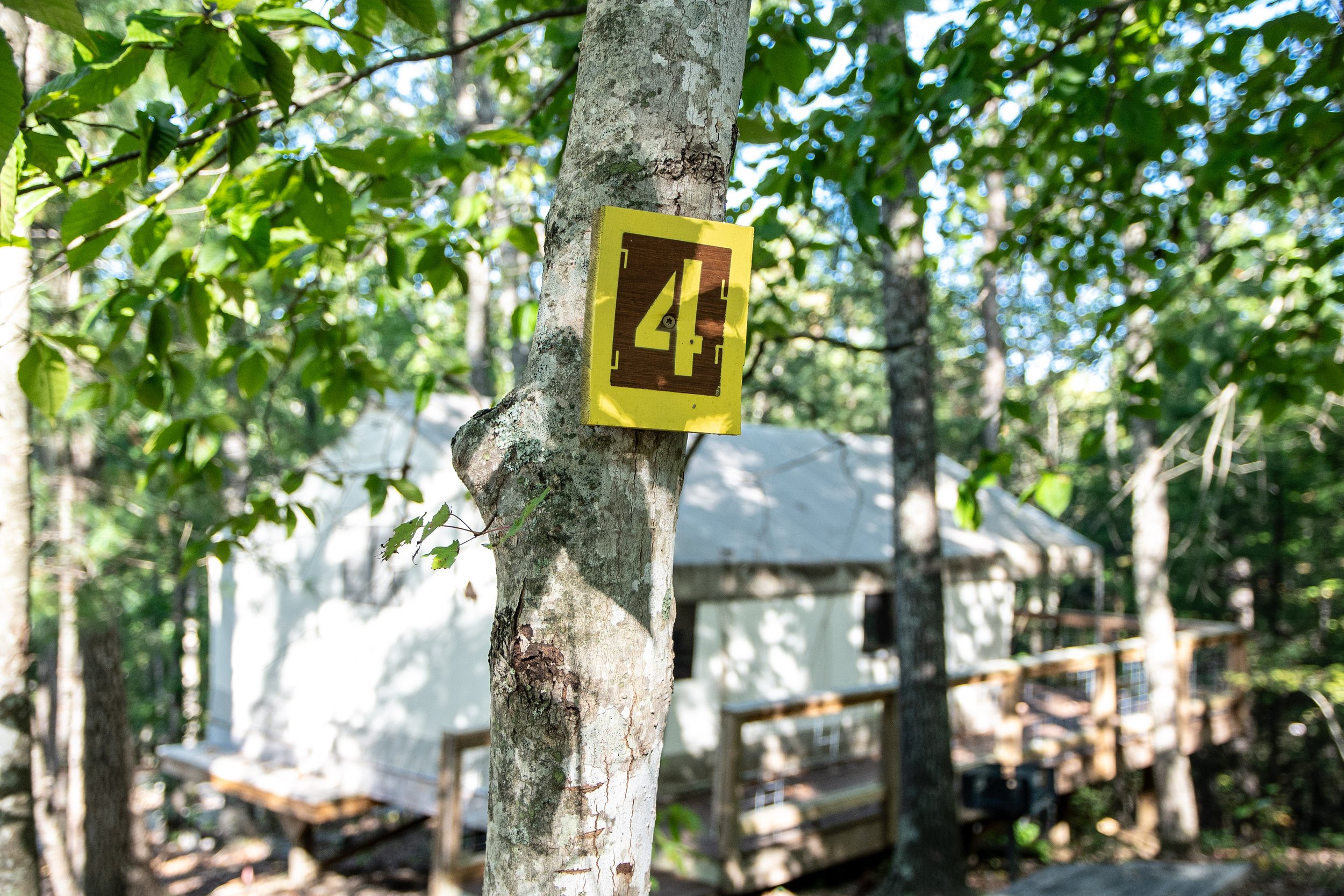 DL_Tent4_009.jpg