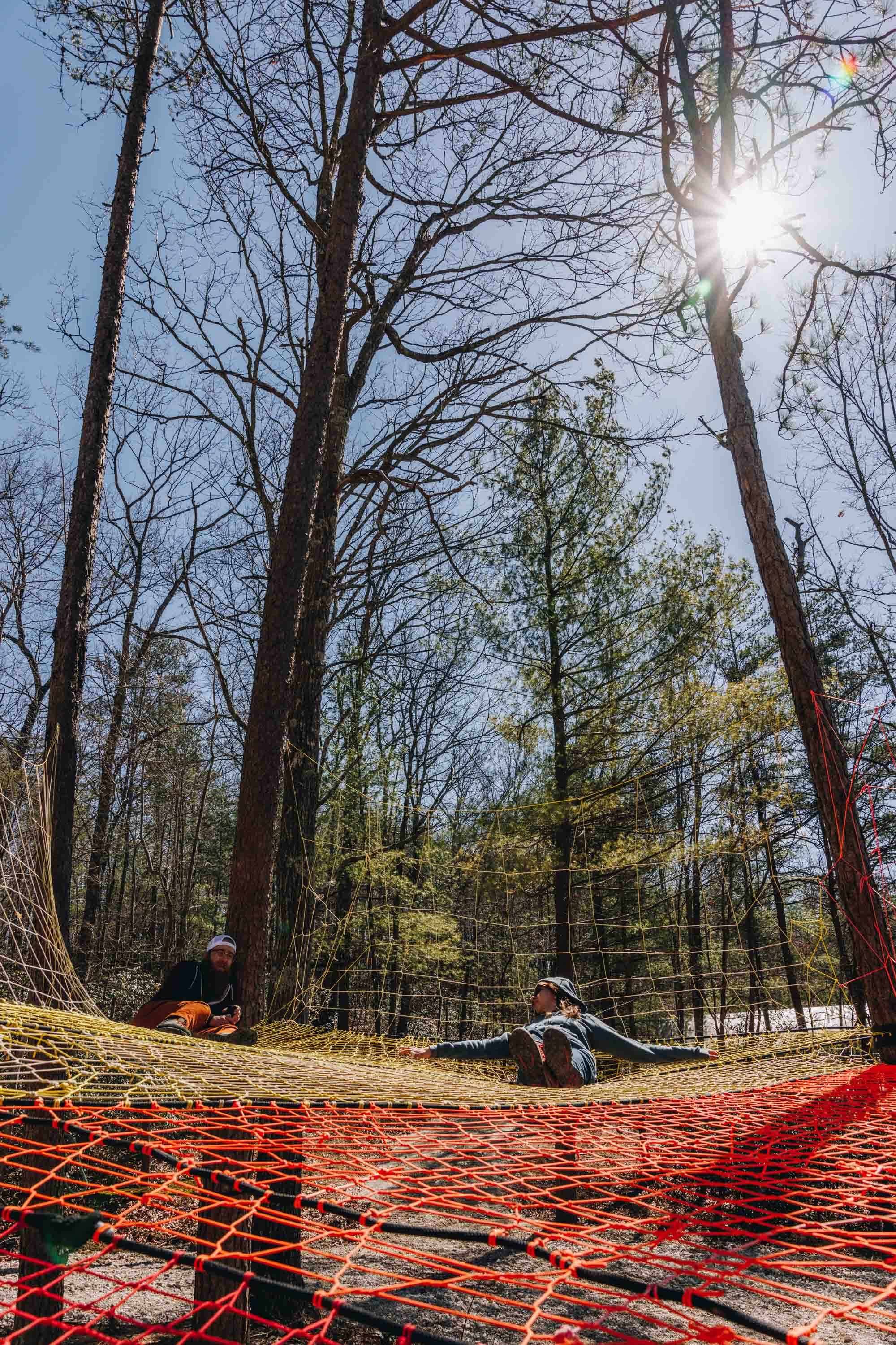 Hang in a bouncy tree web!
