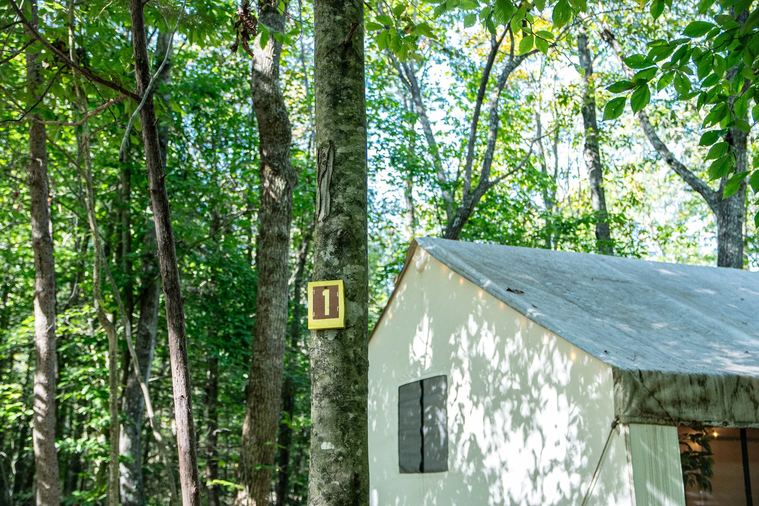 DL_Tent1_004.jpg