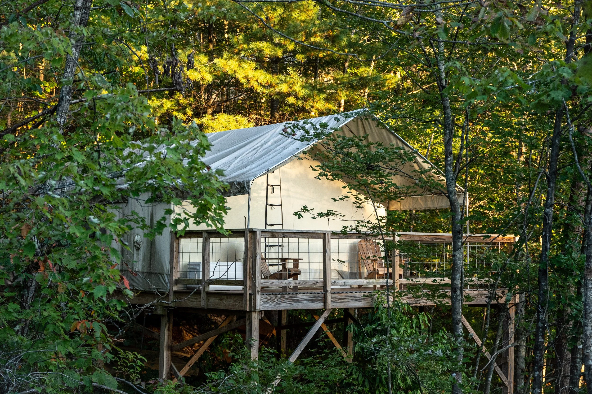 Copy of DL_Tent10_004.jpg