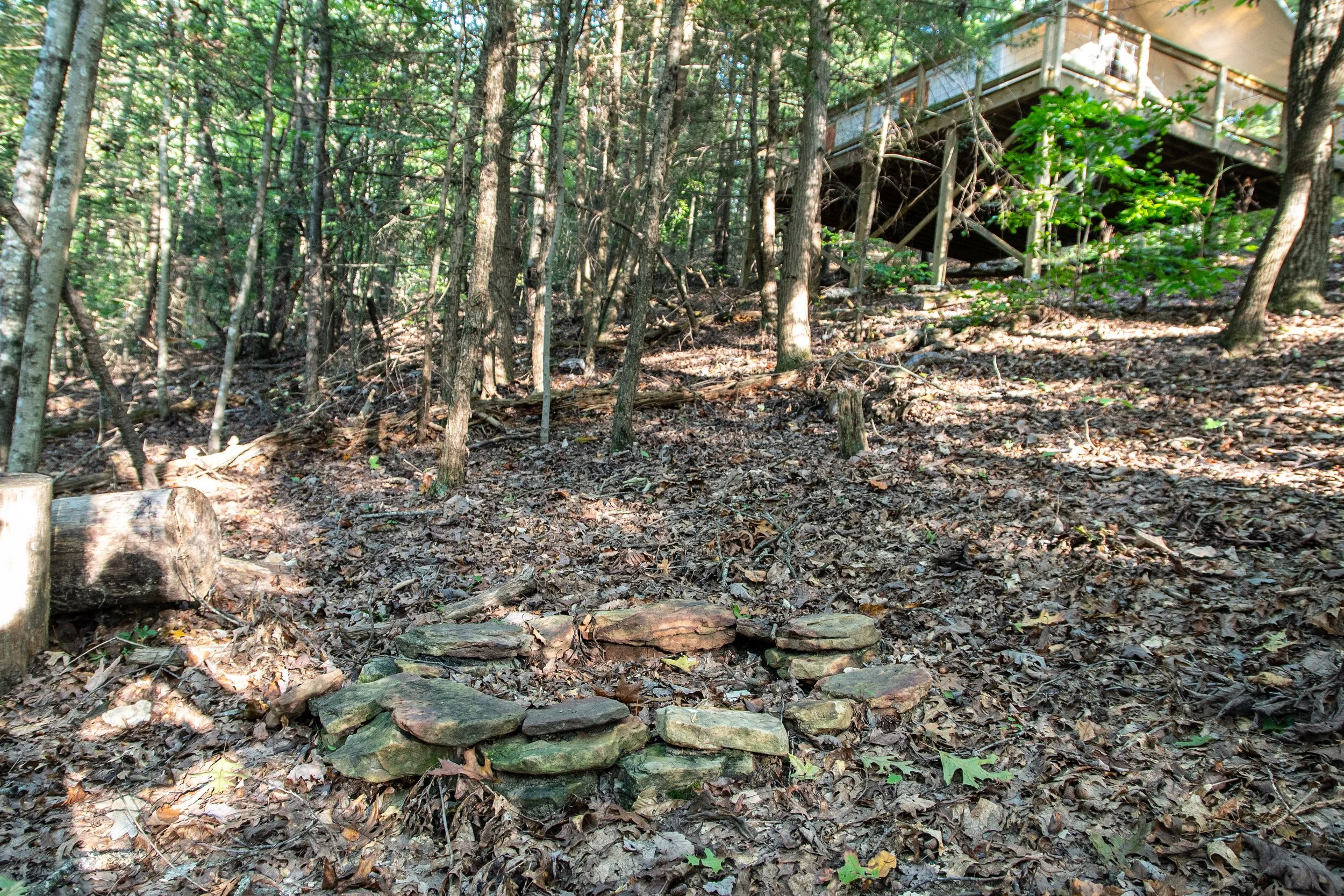 DL_Tent5_007.jpg