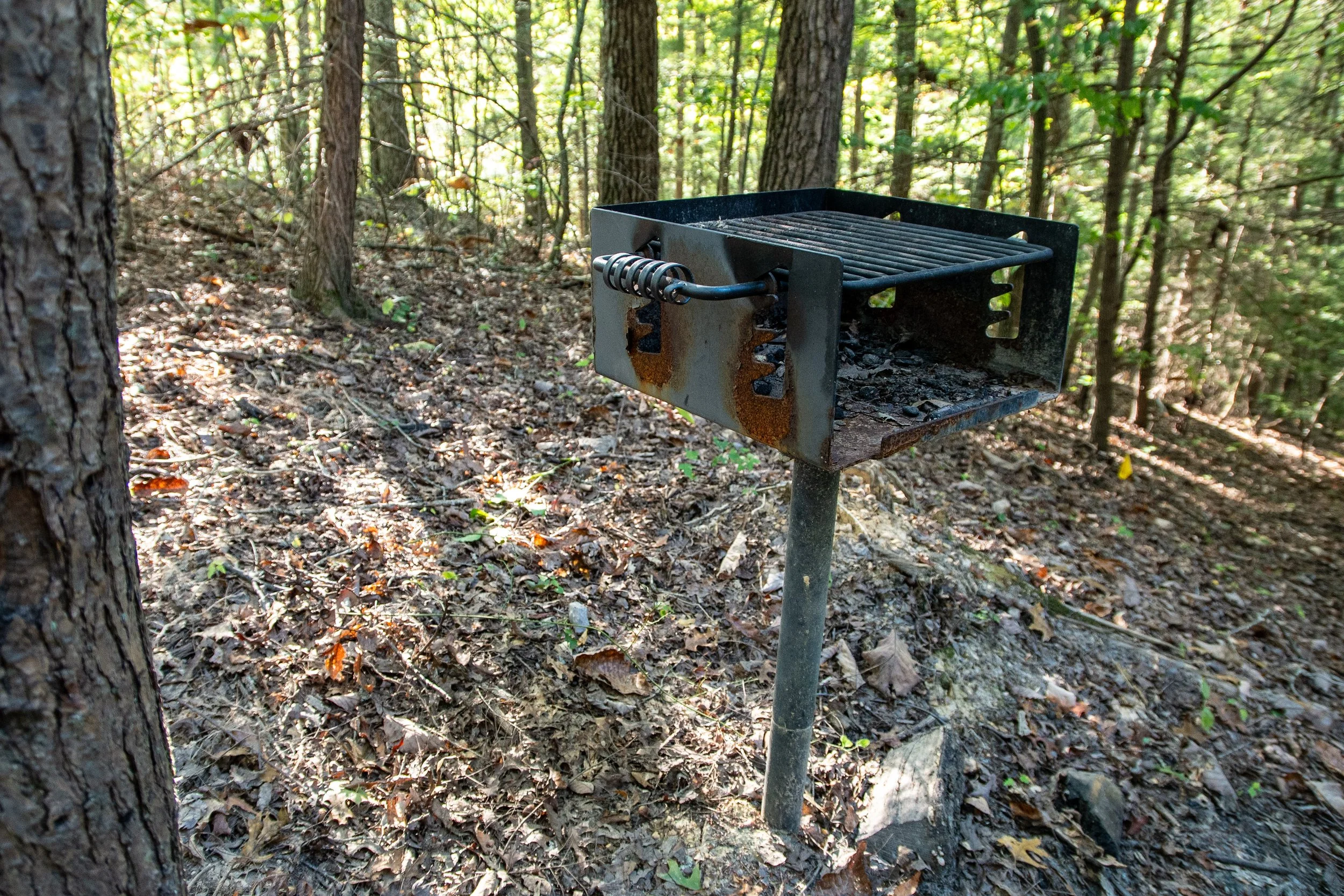 DL_Tent5_002.jpg