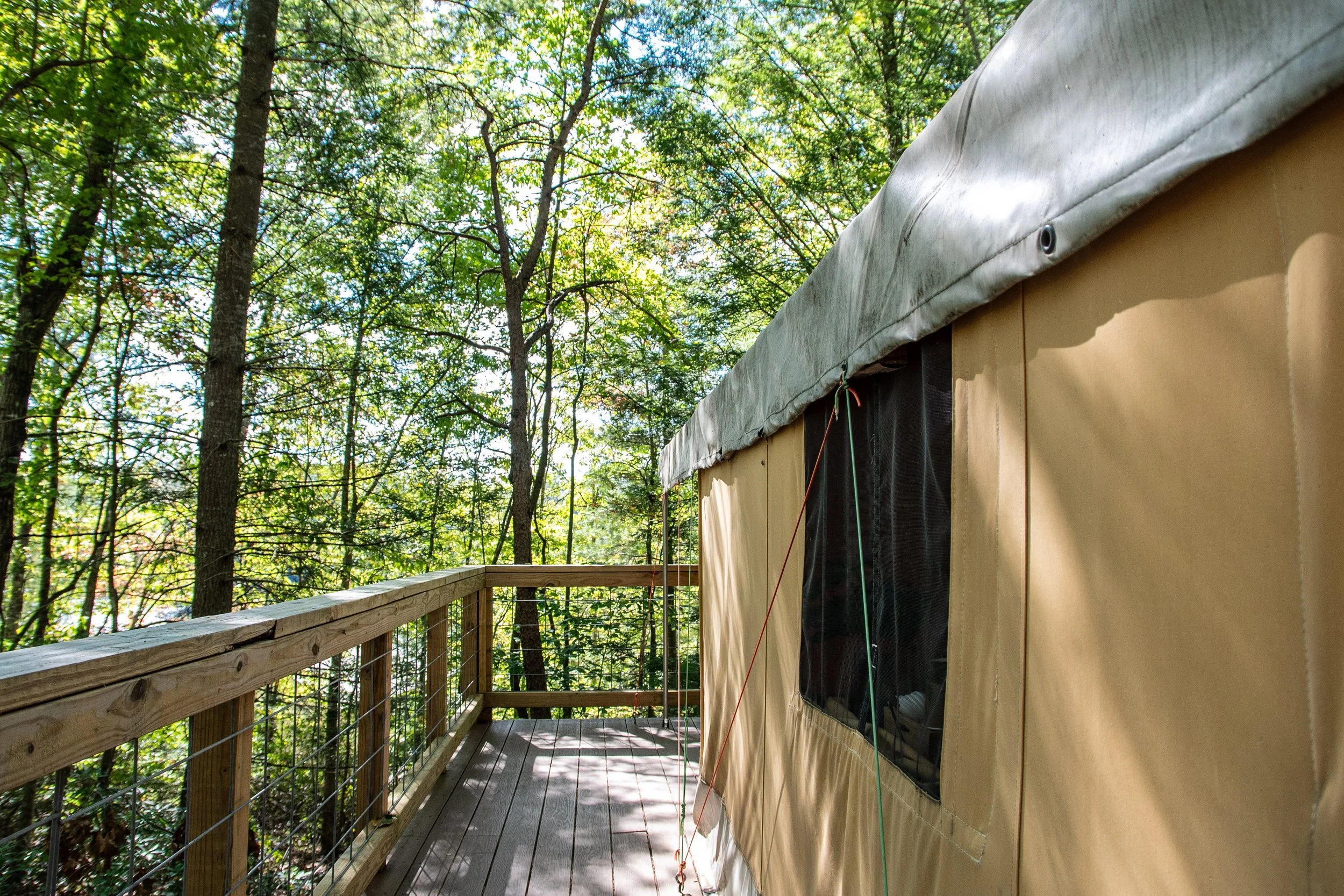 DL_Tent6_008.jpg