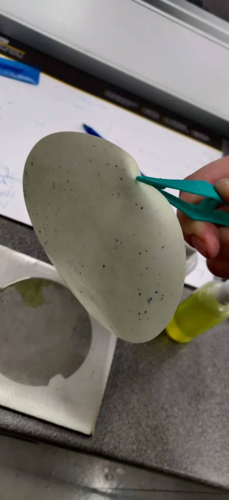 Ferroxyl Testing