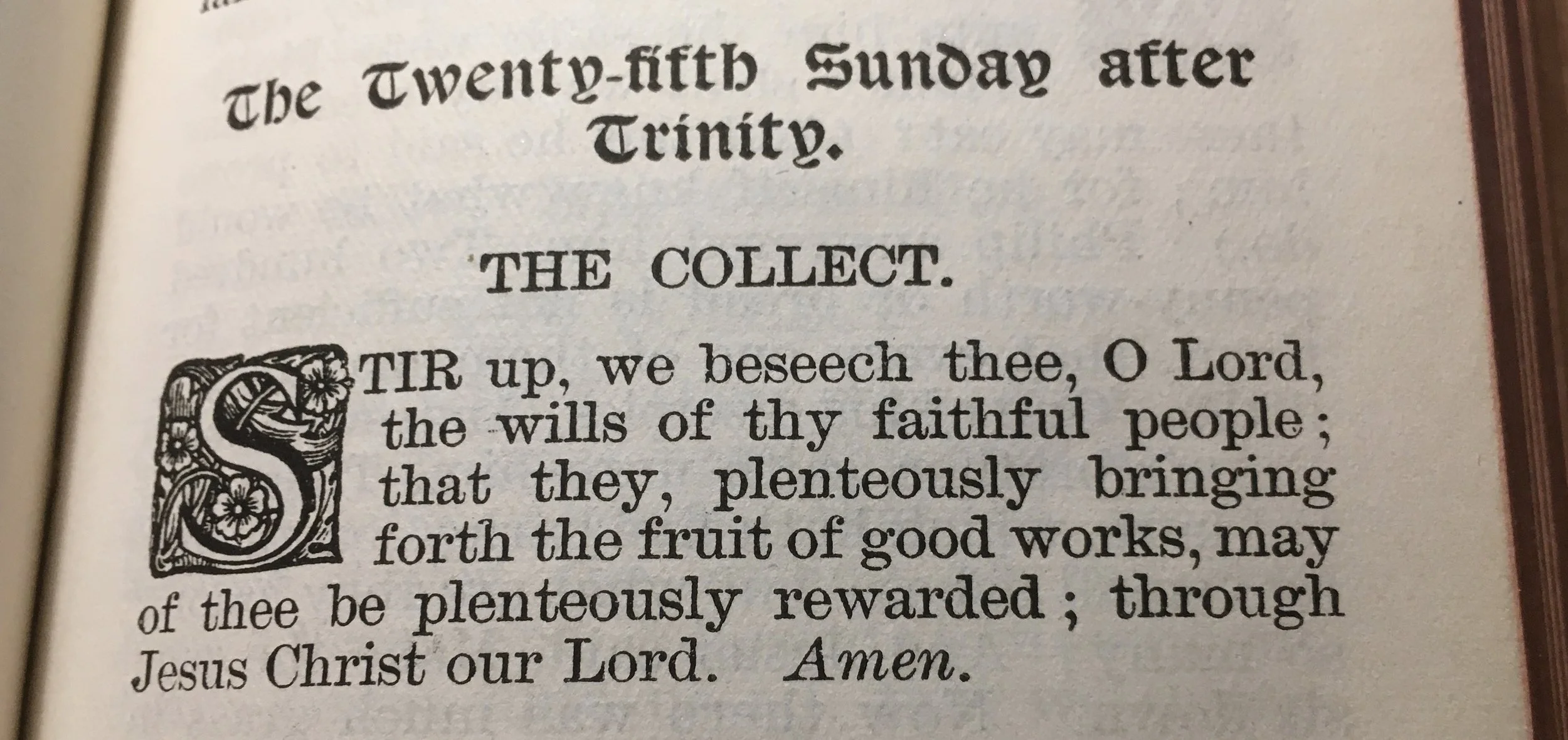 Sunday Next Before Advent