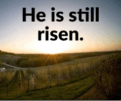 First Sunday After Easter
