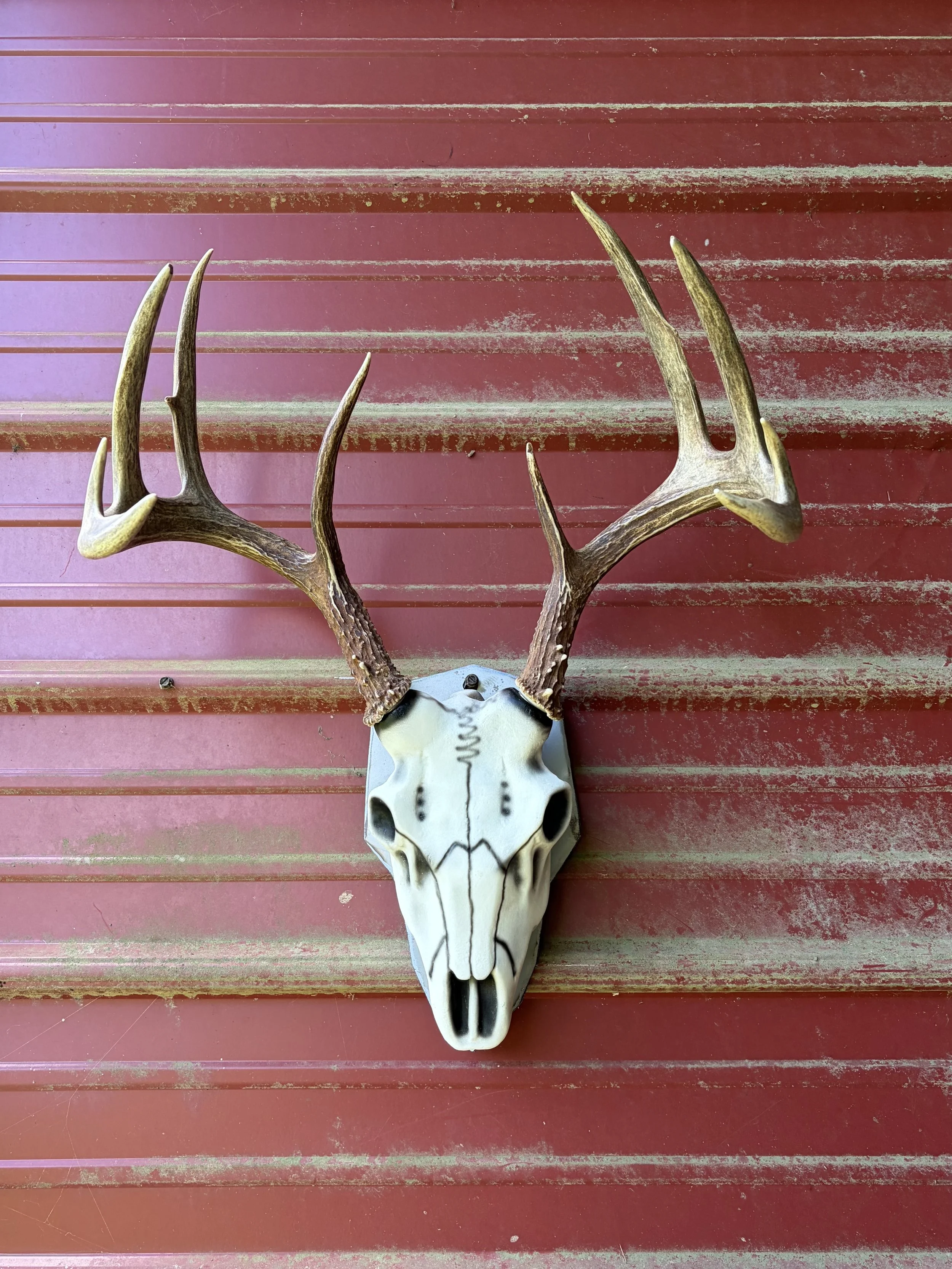 Rustic Faux Deer Skull Wall Art
