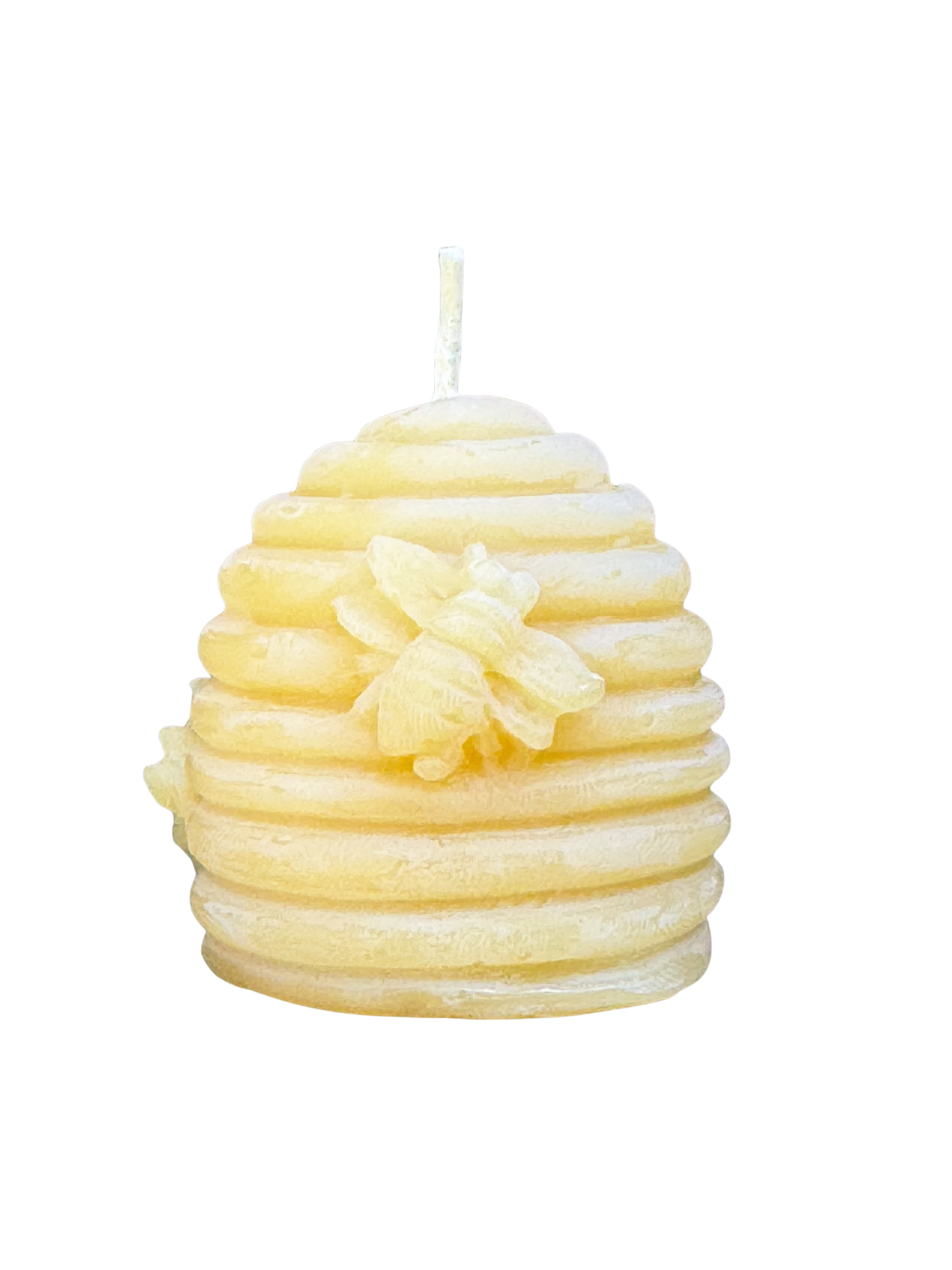 CC565A87-A7DB-43E4-9BE8-FE4D4ECFAA59.png