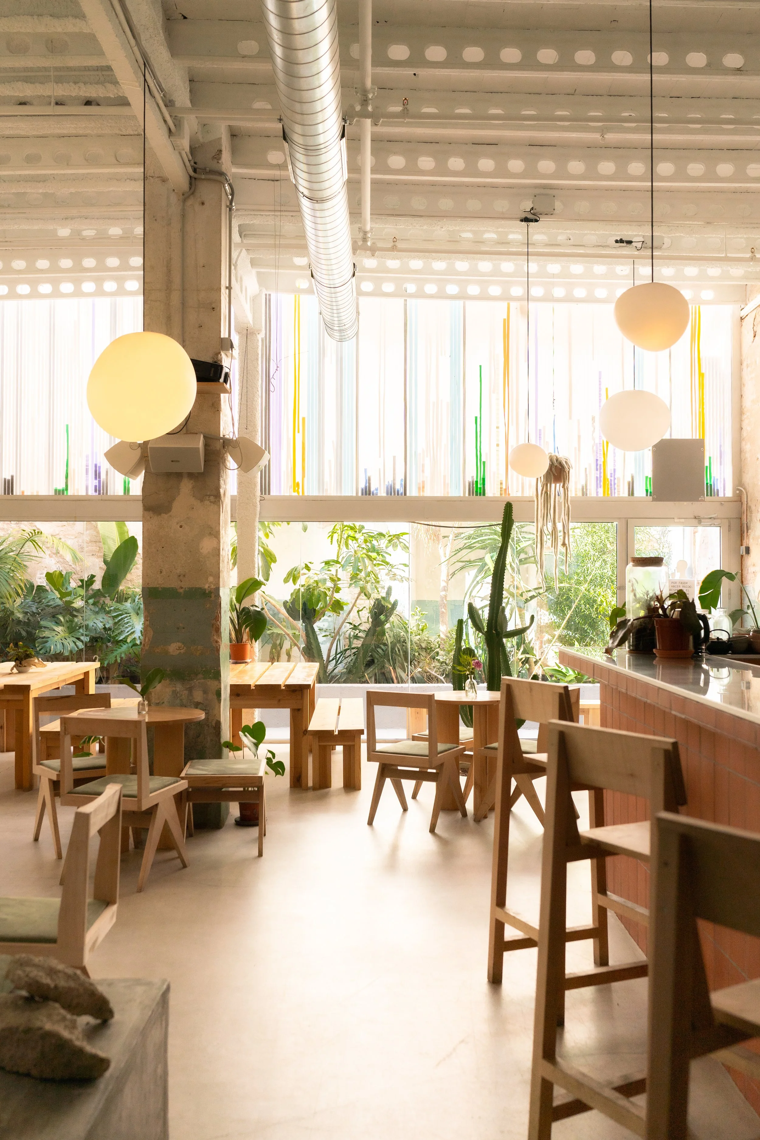 Kaktos Botanical Society