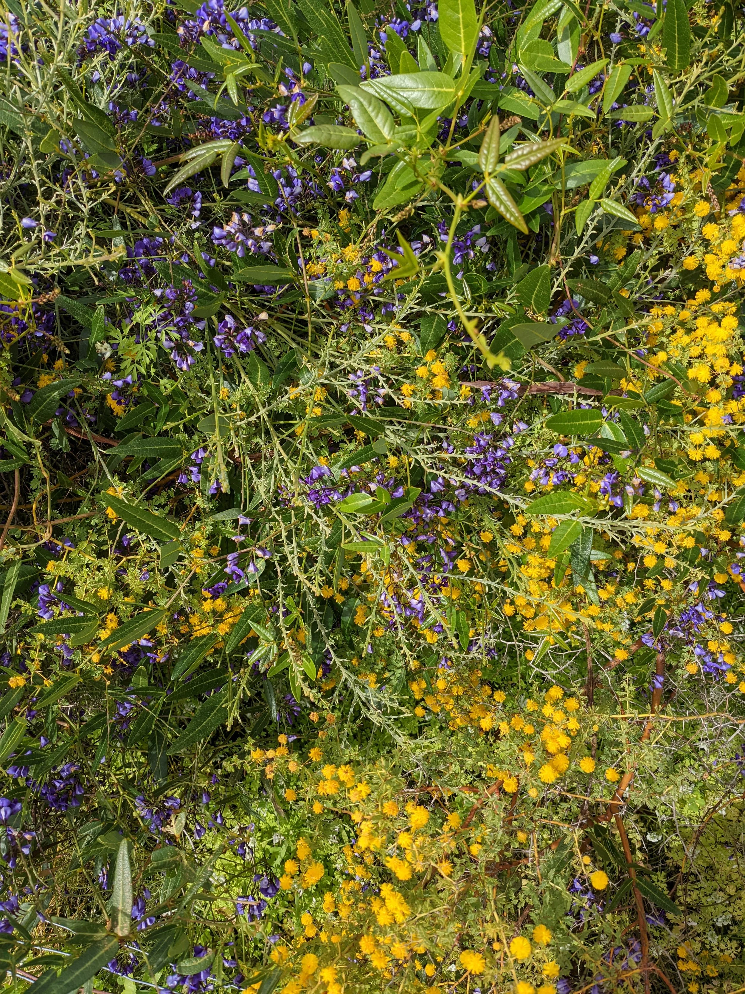 BEAT THE WINTER BLUES 2026