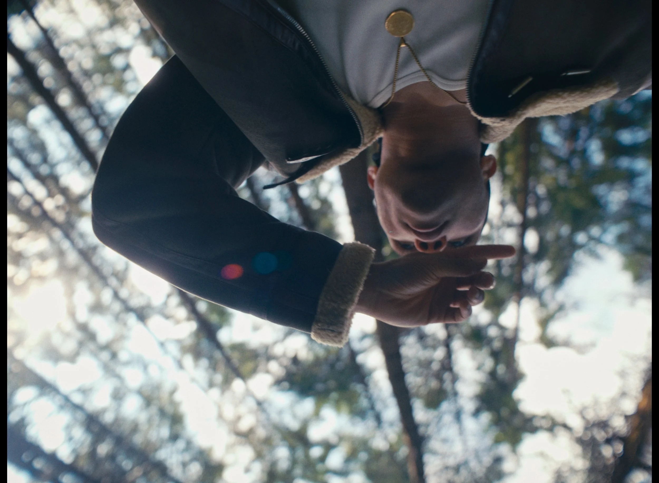 Still 2026-01-27 123132_1.14.1.jpg