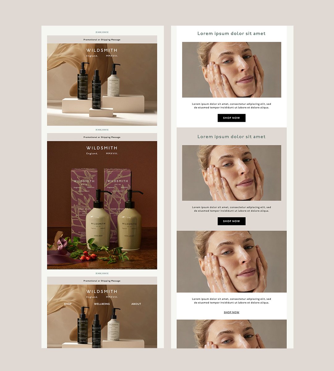 Wildsmith Skin beauty email marketing template in Klaviyo