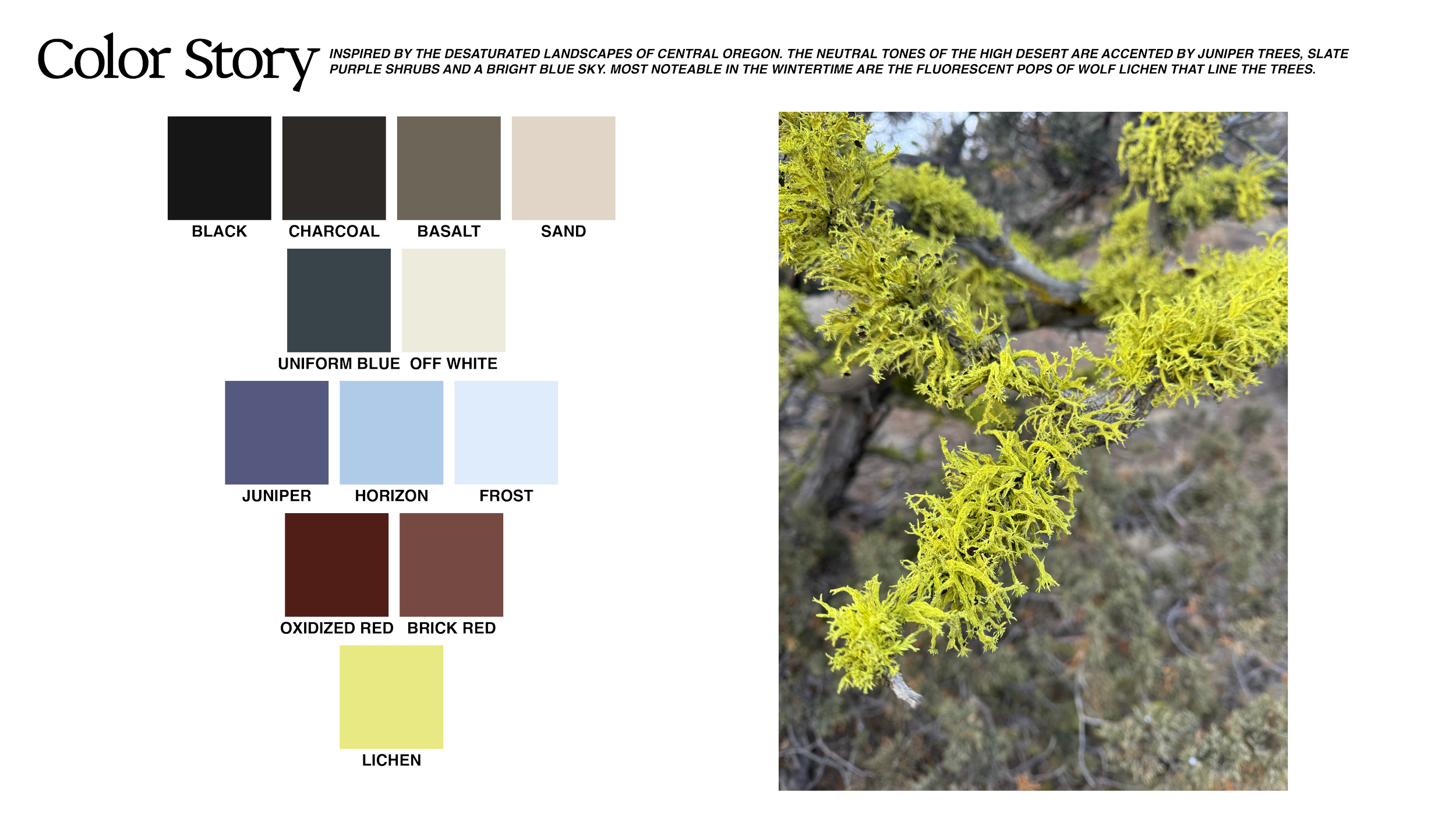 OK FINAL DECK-03.png