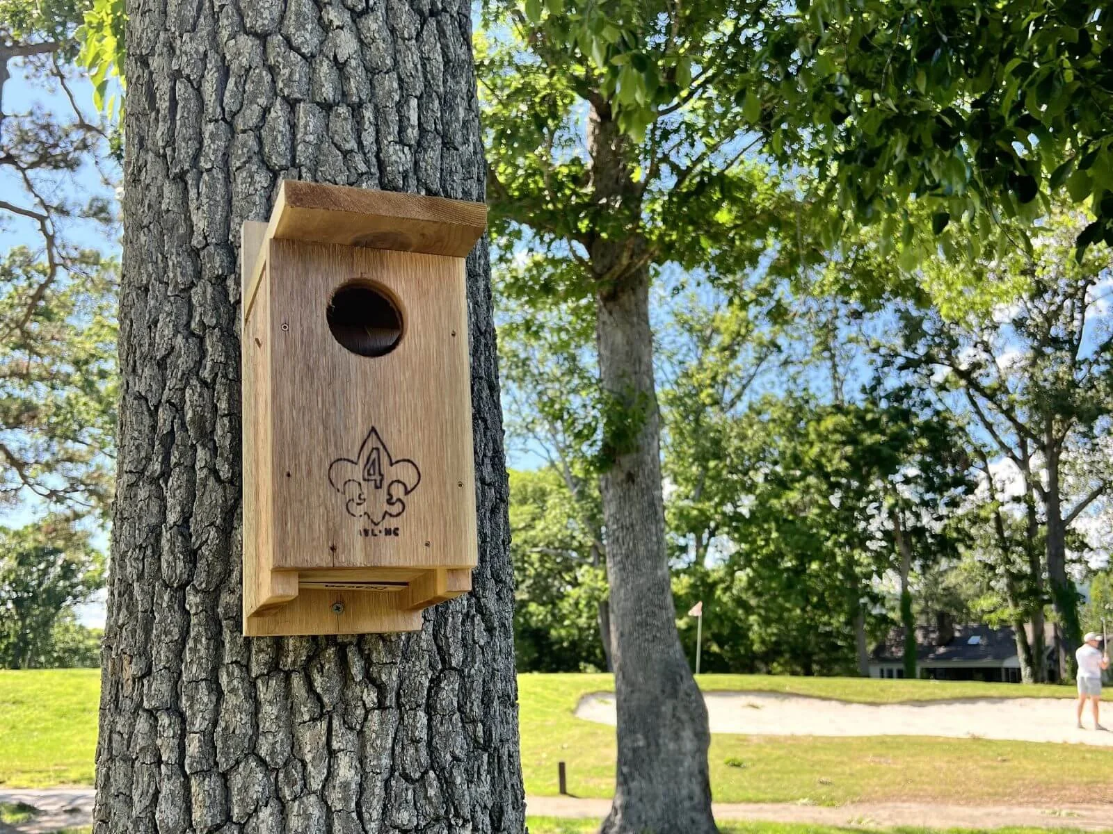 photo of new birdhouse at asheville muni golf course.jpg