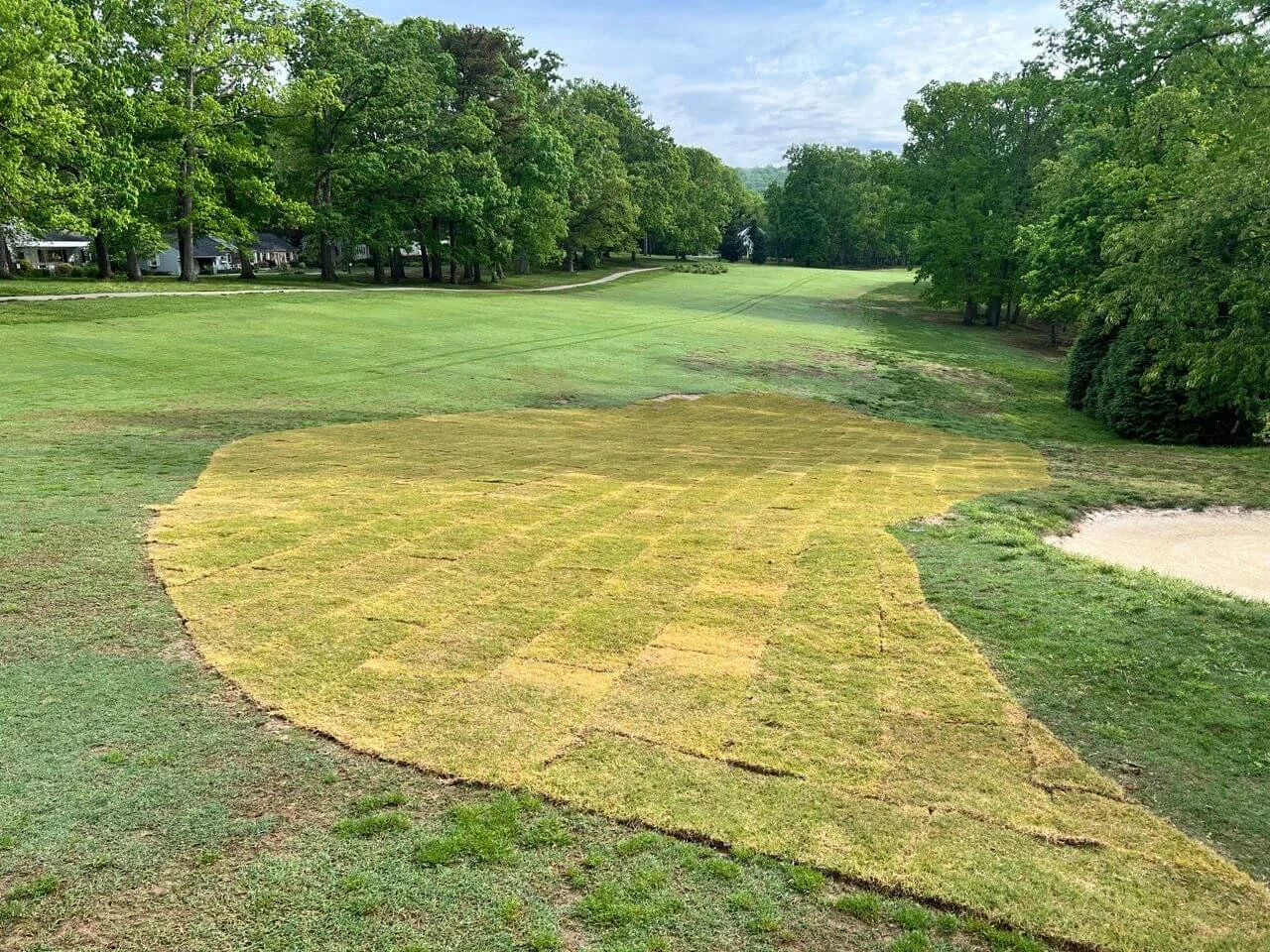 photo of turf improvement at asheville municipal golf course.jpg