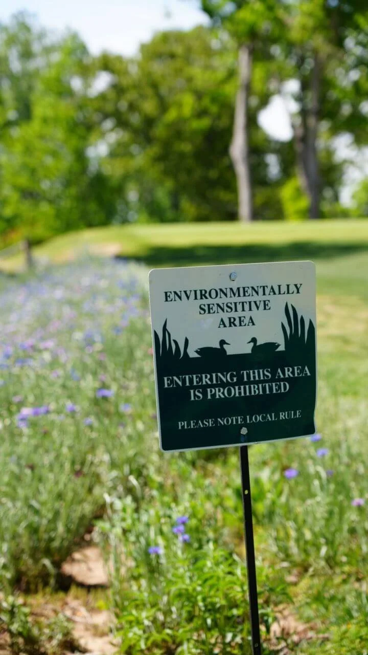 photo of environmental area at asheville muni.jpg