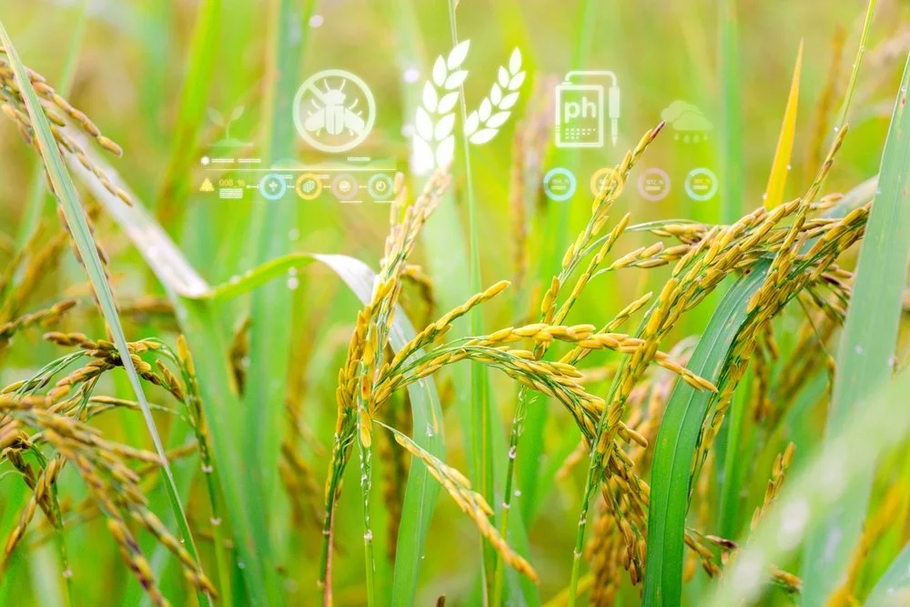How Object Detection is Revolutionizing the AgTech Industry