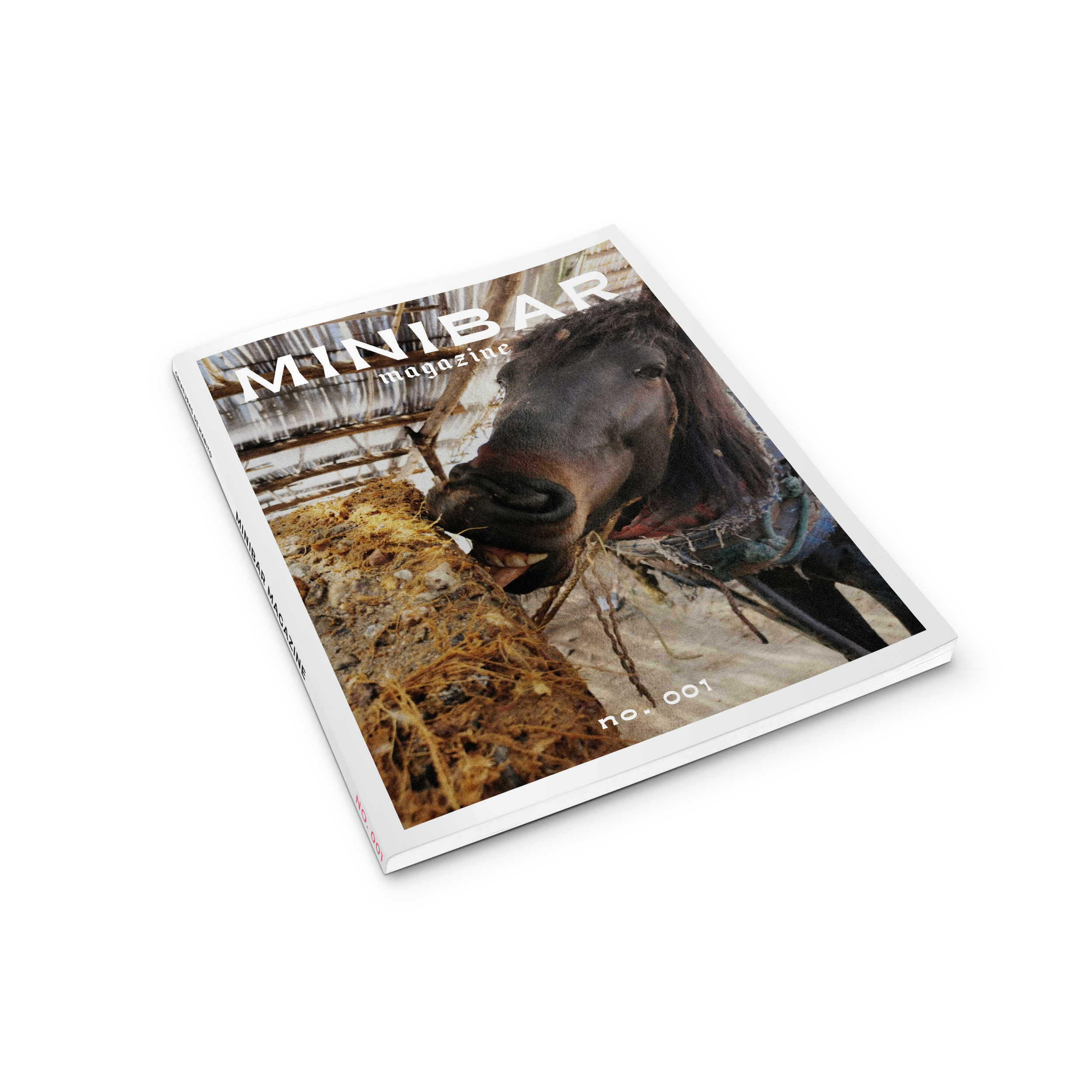 minibar mock up_002.png