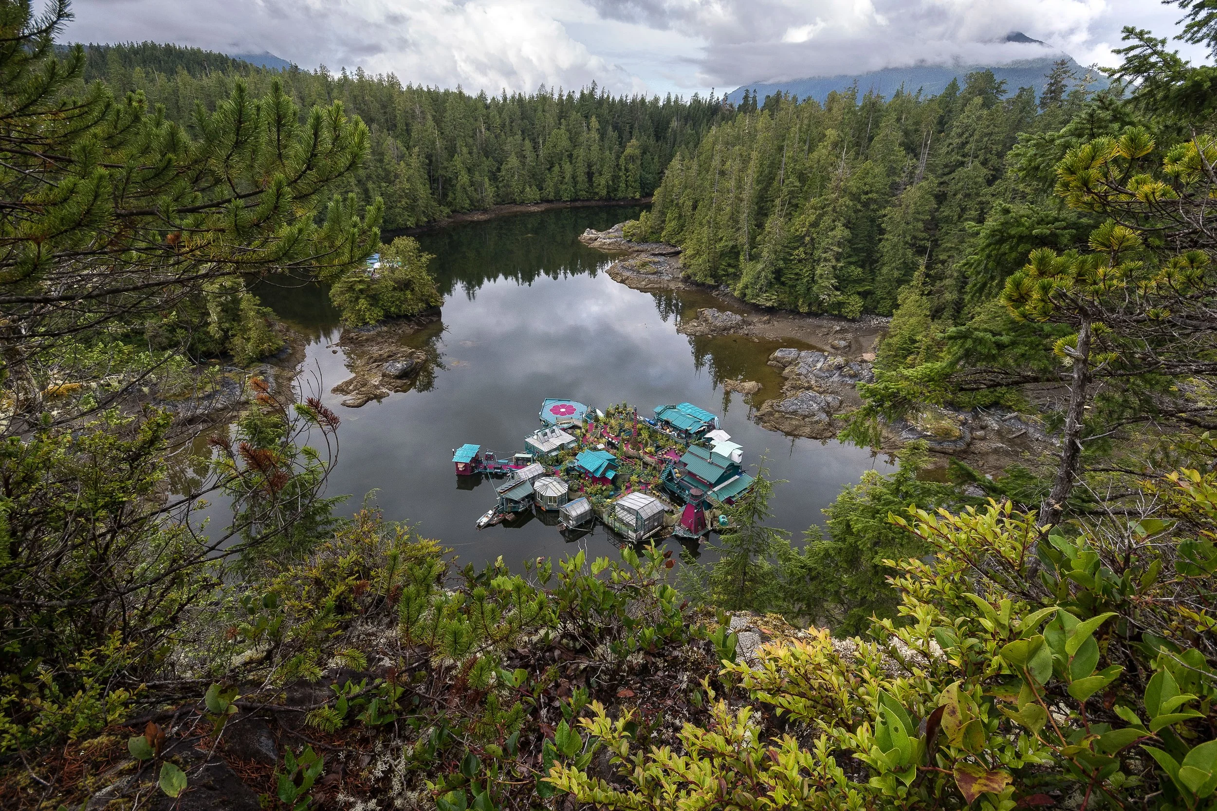 FREEDOM COVE | VANCOUVER ISLAND | CARLO BEVILACQUA