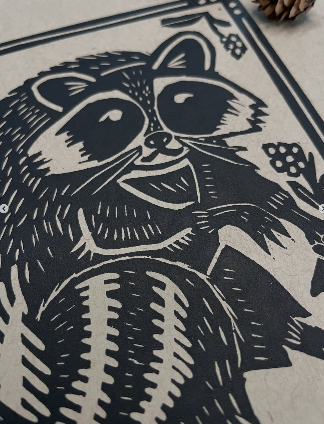 raccoon2.png