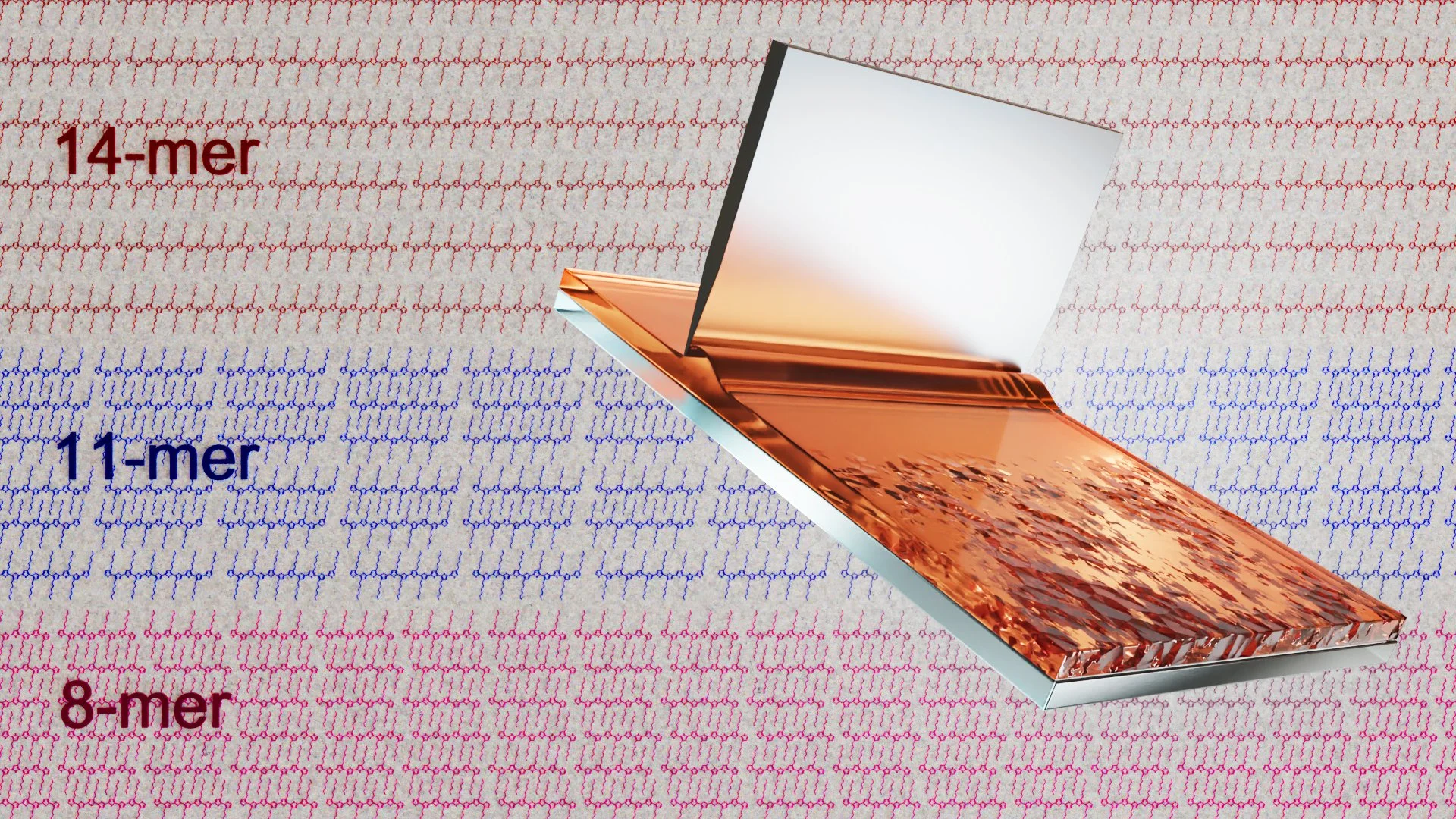 Laura - ACS AMI - 2023.jpg