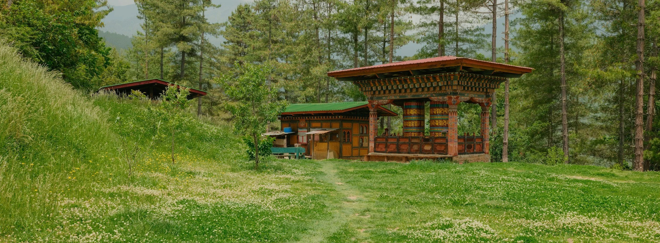 A wooden retreat lodge in a green meadow surrounded by forest
