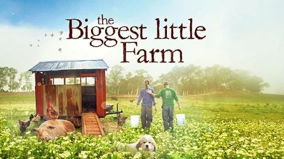 This week in Iowa organizing…