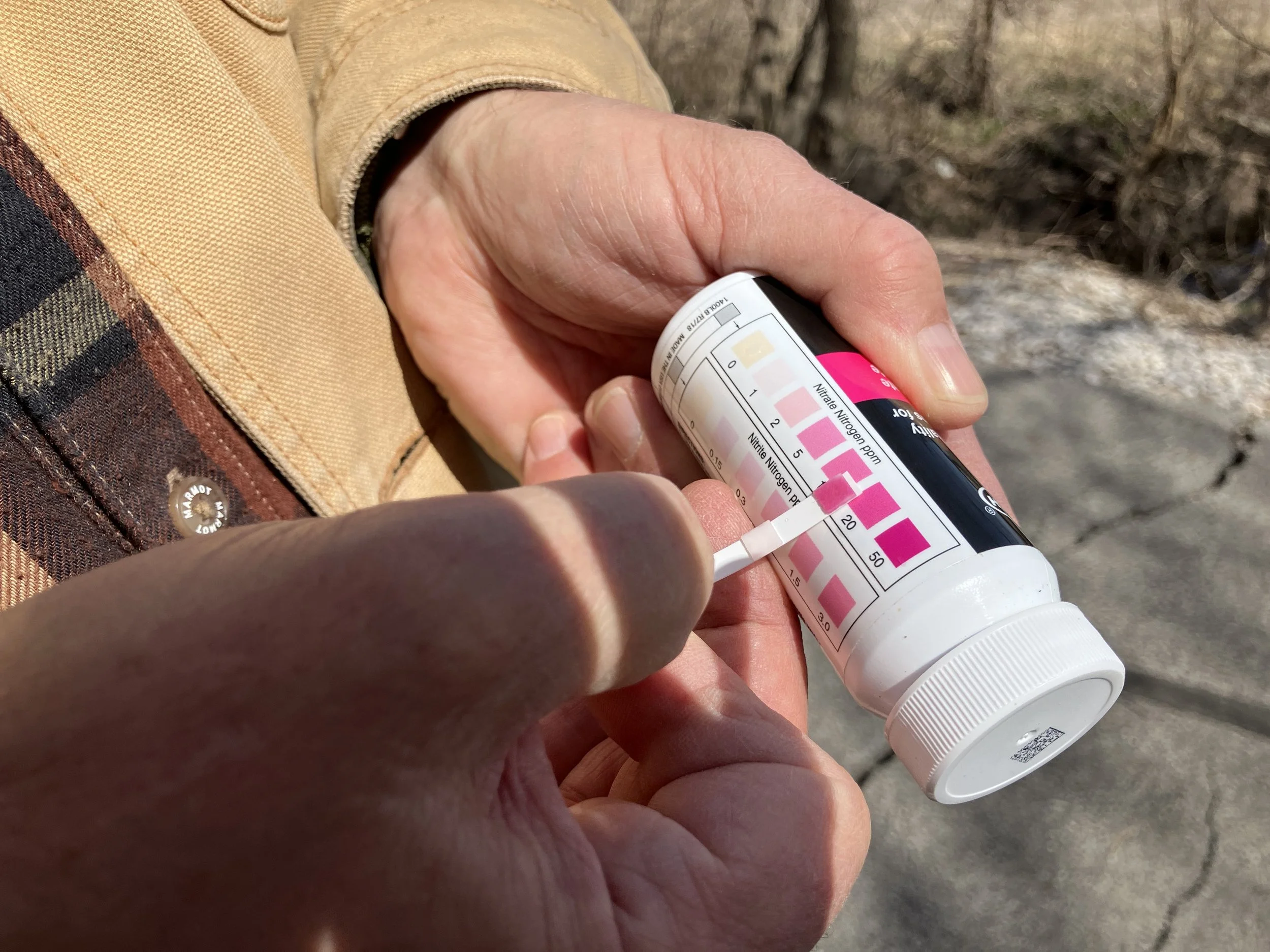 This week in Iowa organizing…