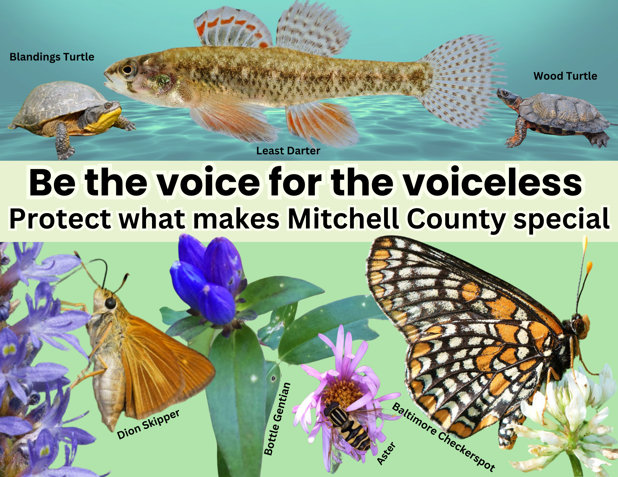 This week in Iowa organizing…