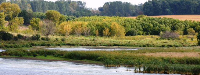 This week in Iowa organizing…