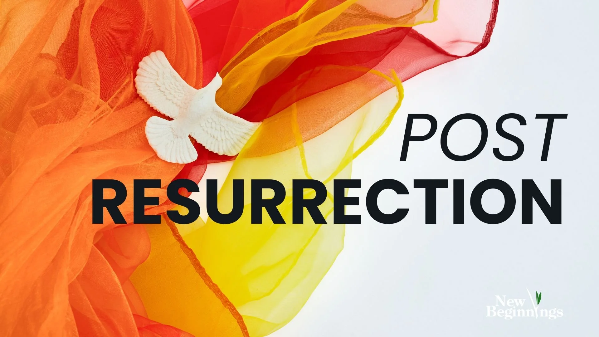 Post Resurrection (Part 5): Ascension Sunday