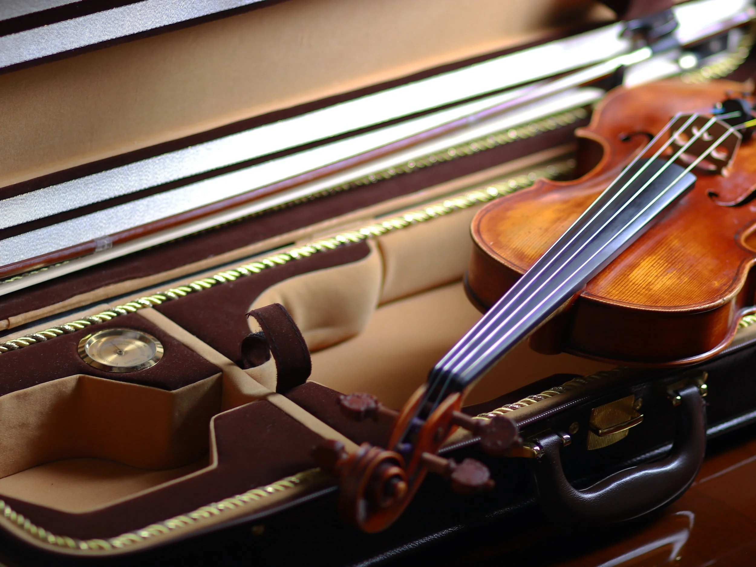 Violin