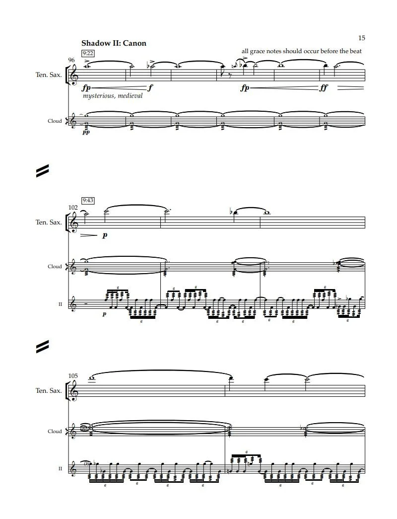 see your shadow 9.JPG