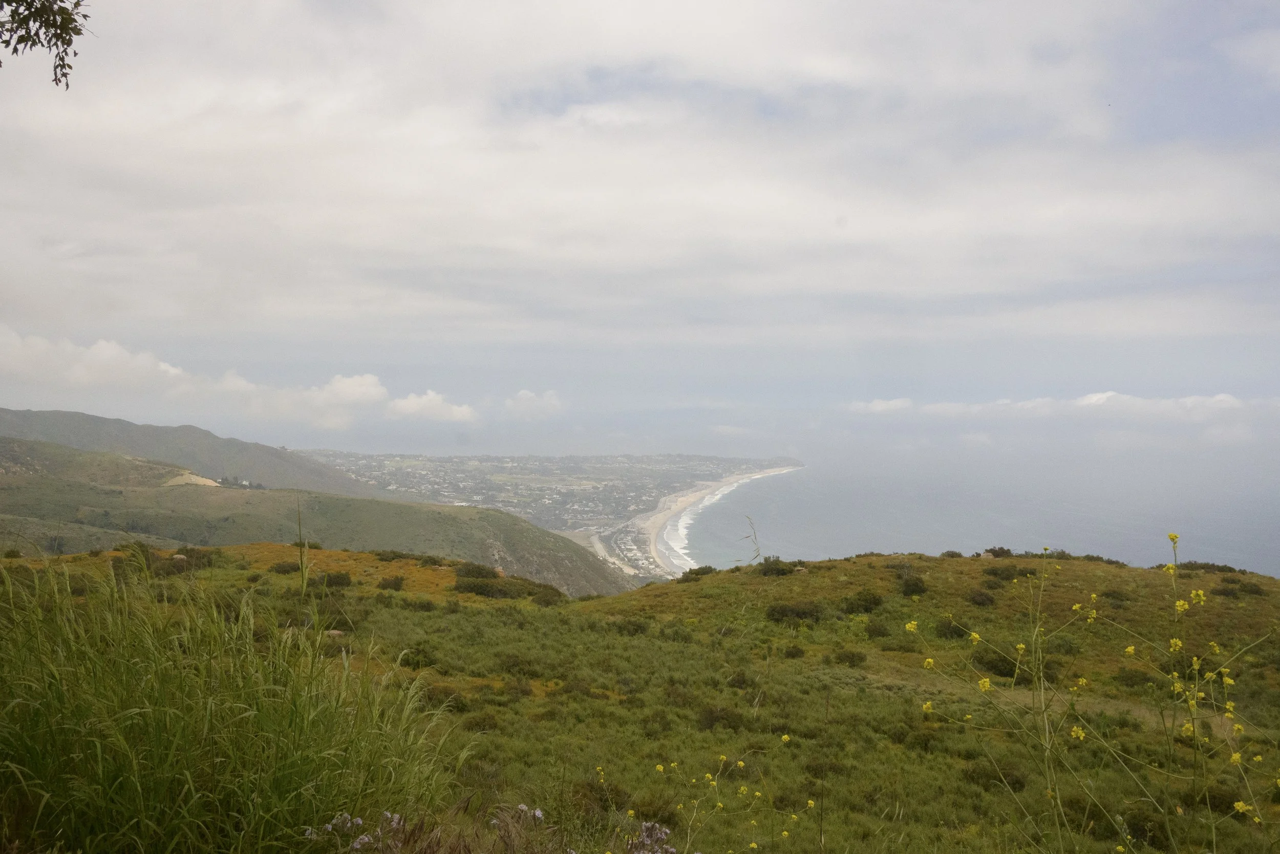 _ZFC1208-RT1-LR.jpg