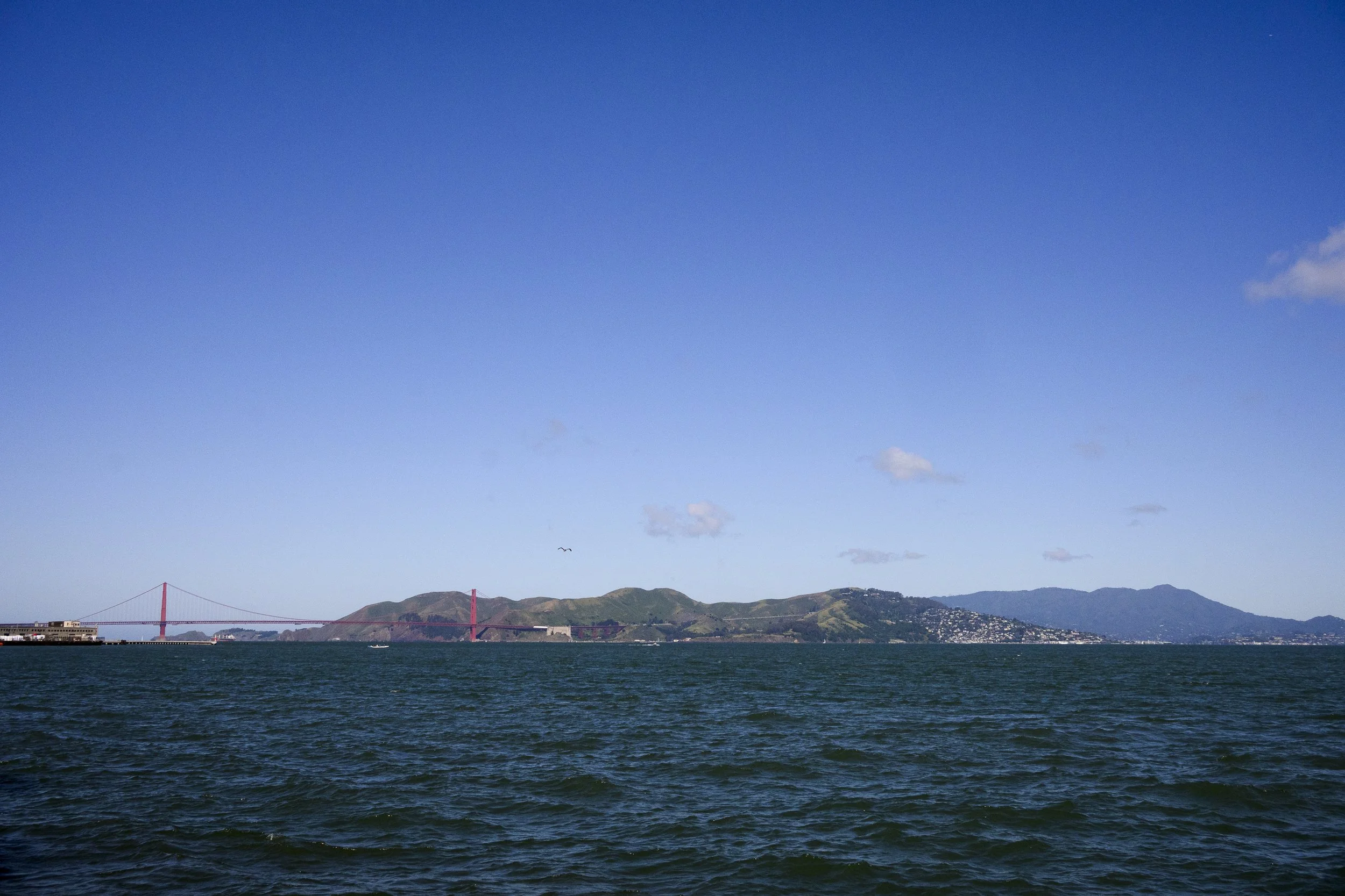 _ZFC1118-RT1-LR.jpg