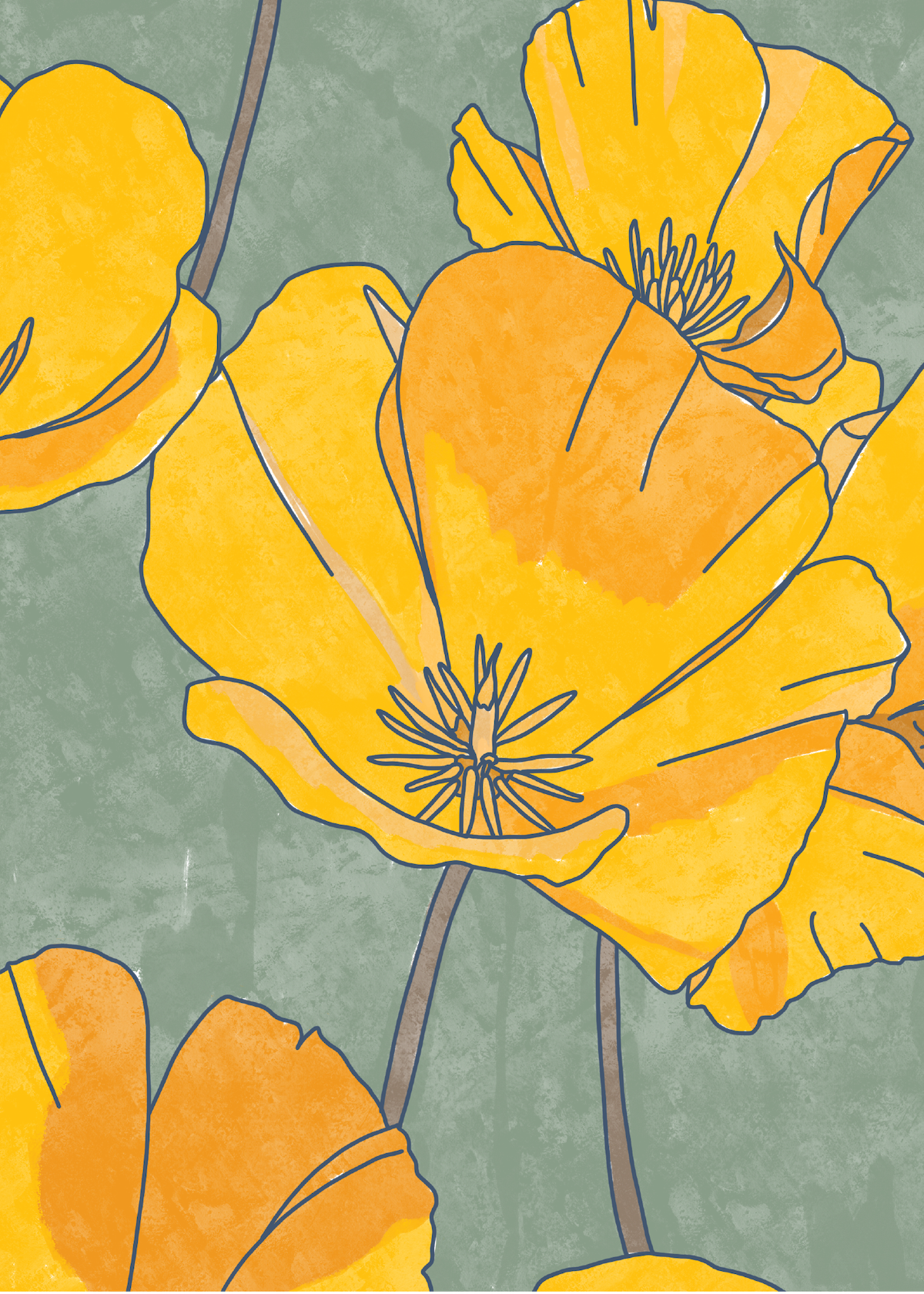 2_CaliforniaPoppies.png