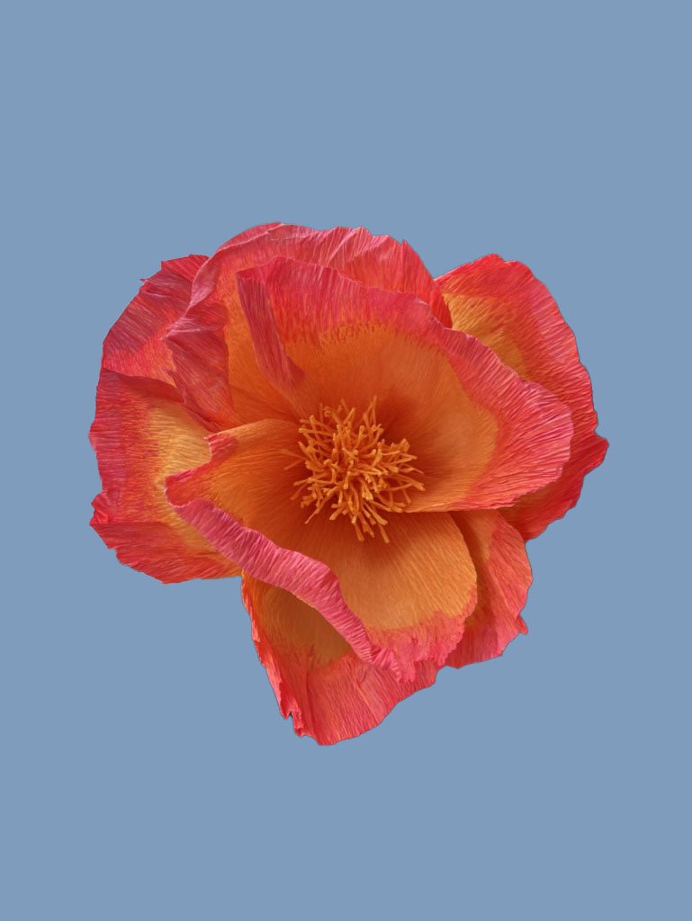 28B0211E-FB5F-4A8A-BF3F-2E53DC103B36_1_105_c.jpg