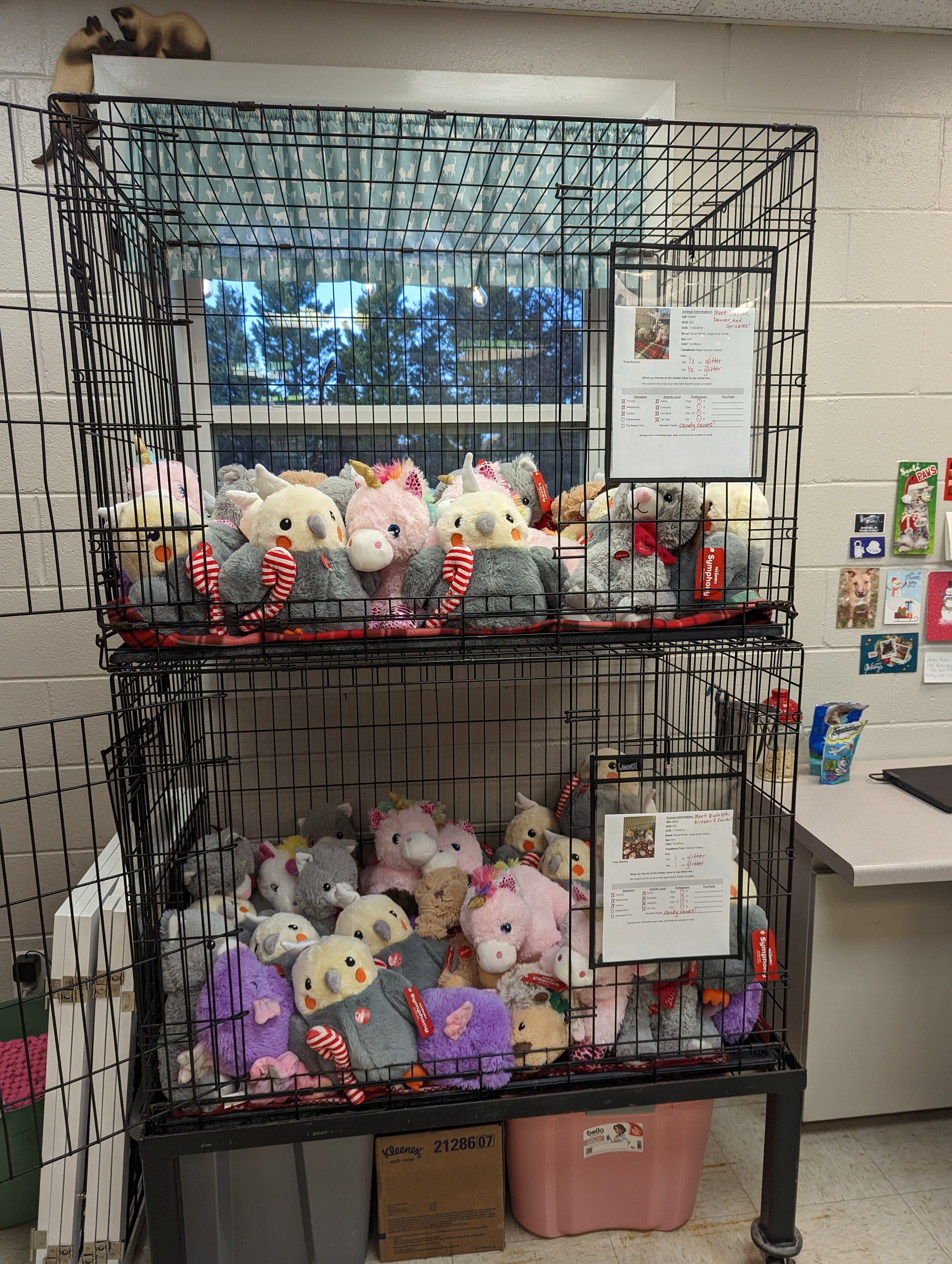 We had adoptable stuffies for the children in attendance