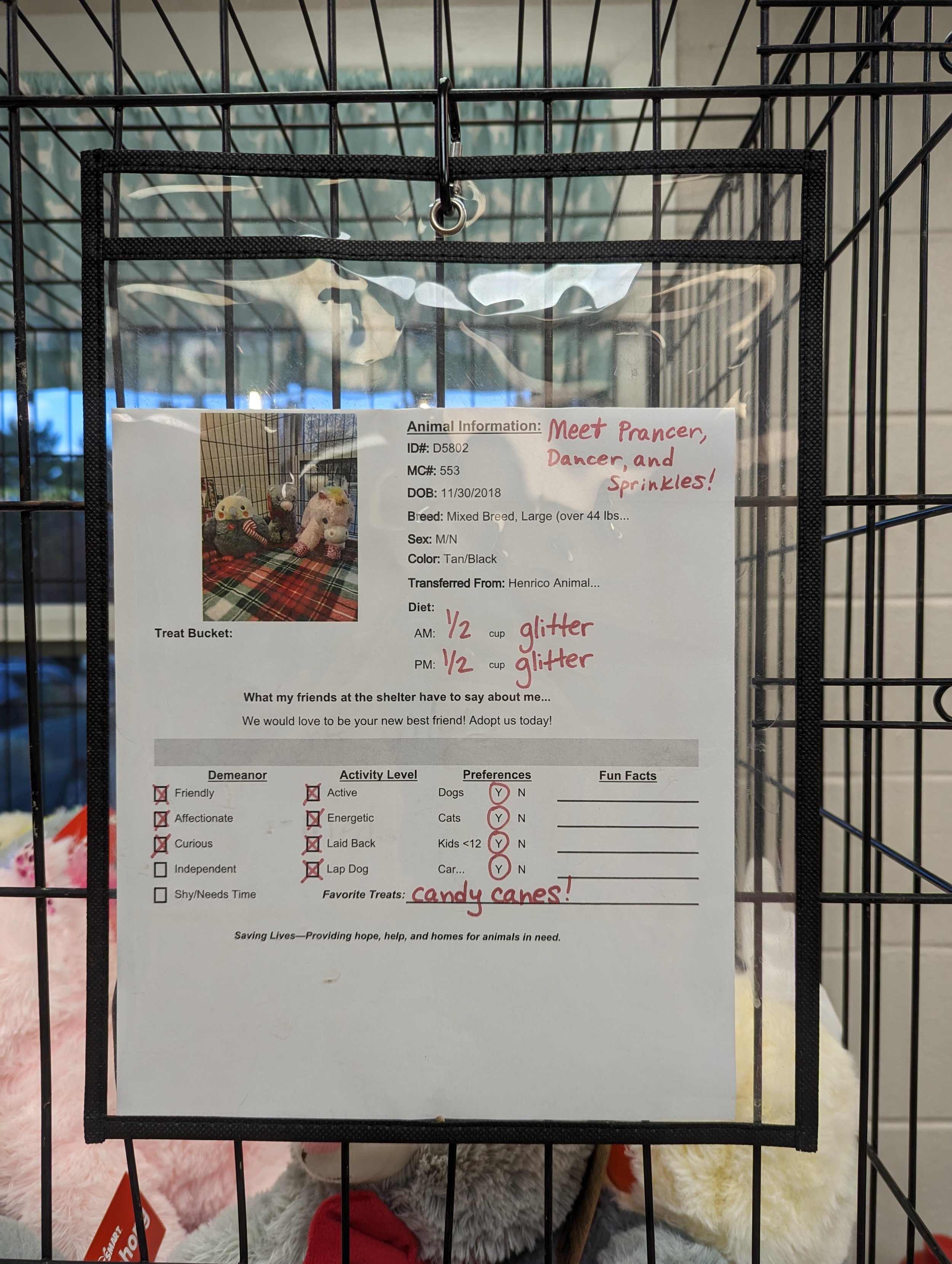 Adoption coordinator Rian Slate made them the cutest kennel cards